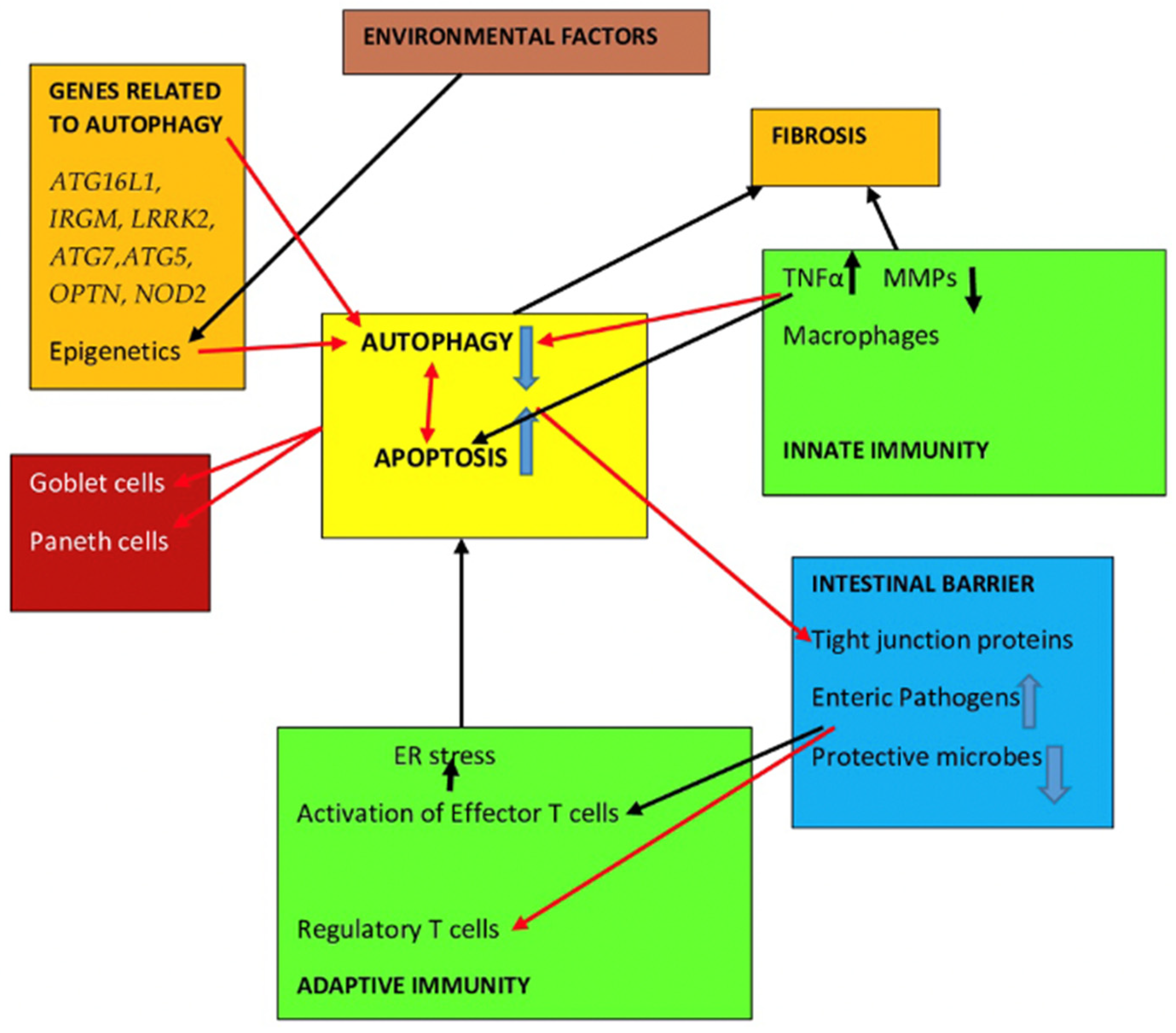 Gastroent 14 00042 g002