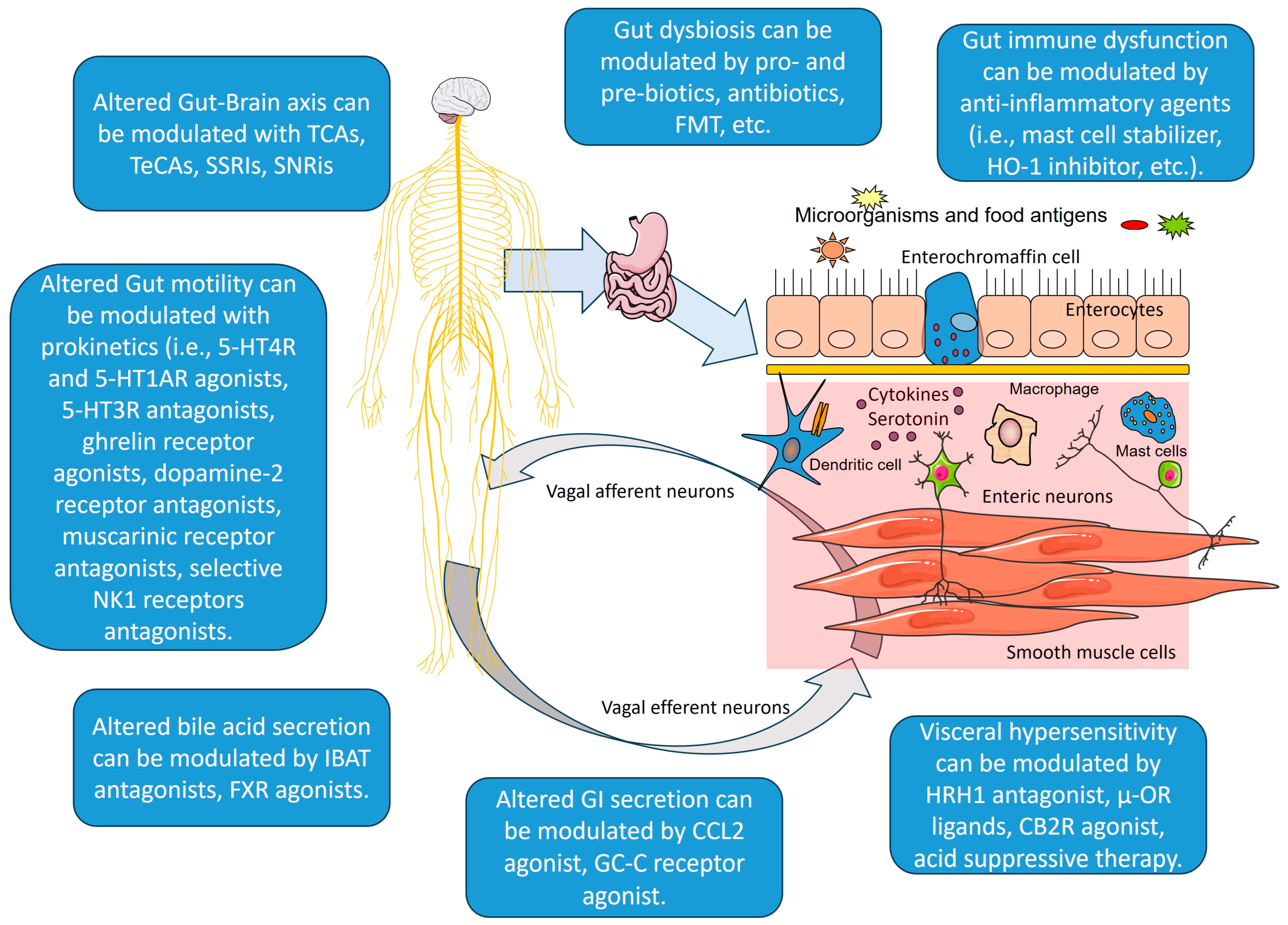 Gastroent 15 00041 g002 Gastroent 15 00041 g002