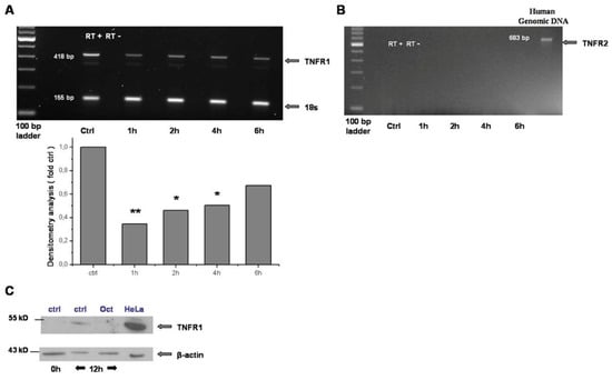 Gastroent 15 00045 g001