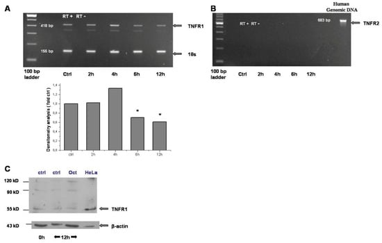 Gastroent 15 00045 g002