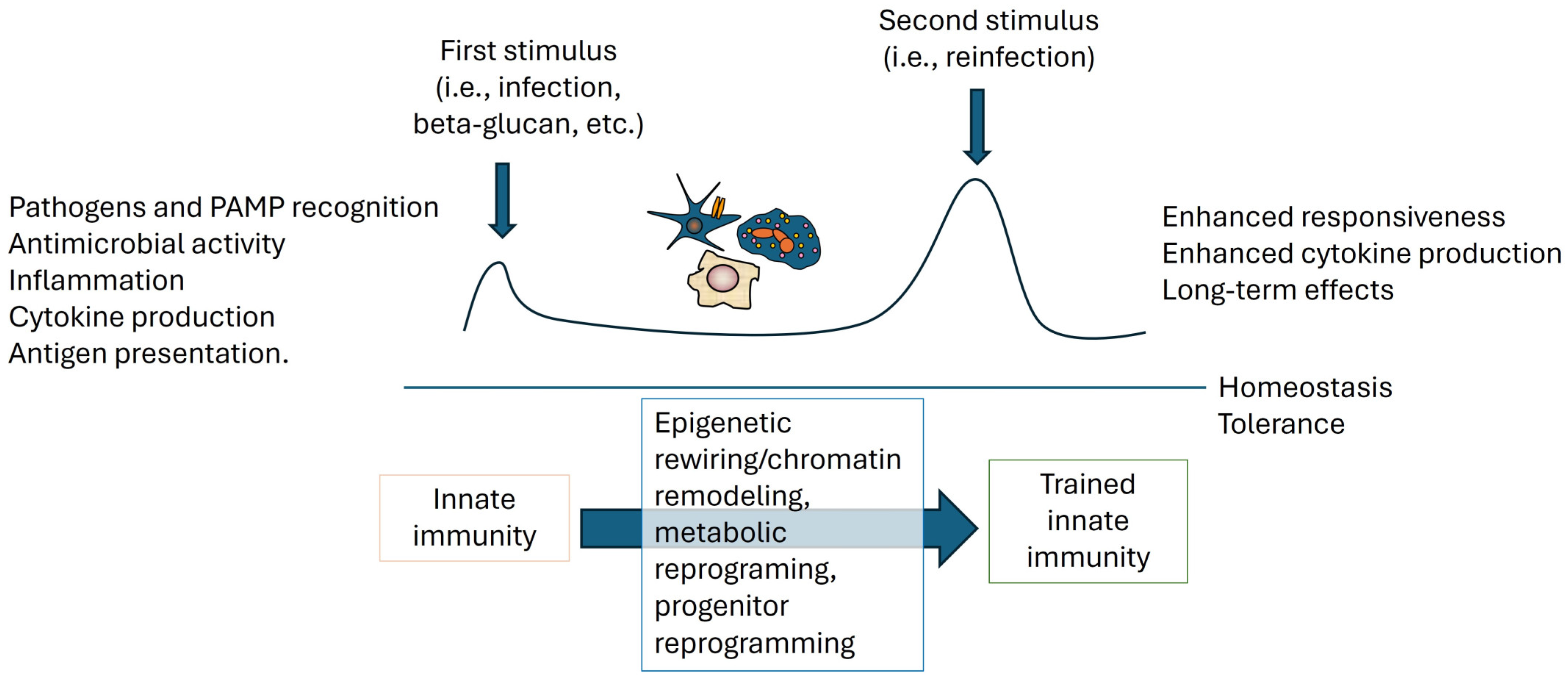 Gastroent 15 00048 g002