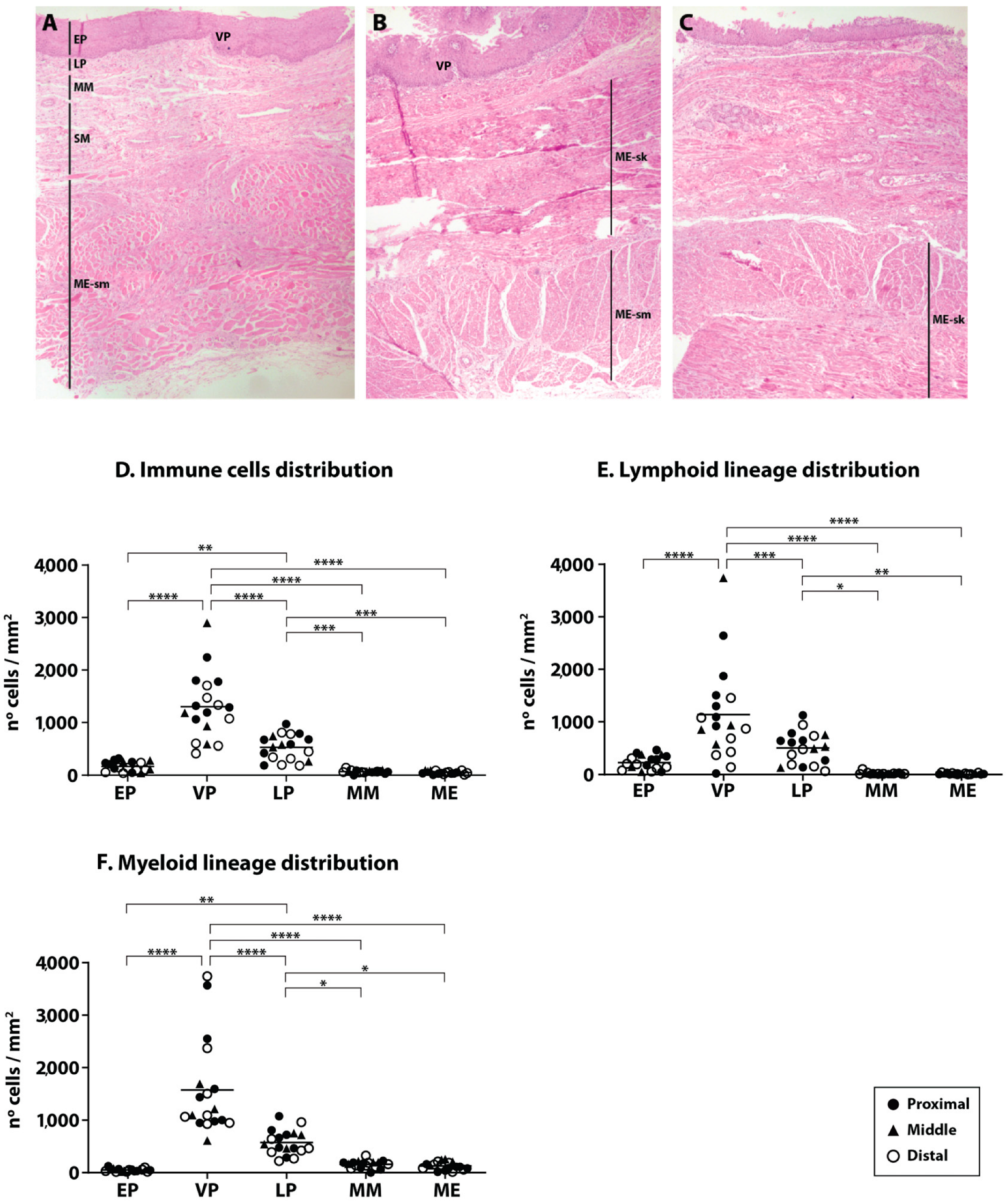 Gastroent 15 00058 g001 Gastroent 15 00058 g001