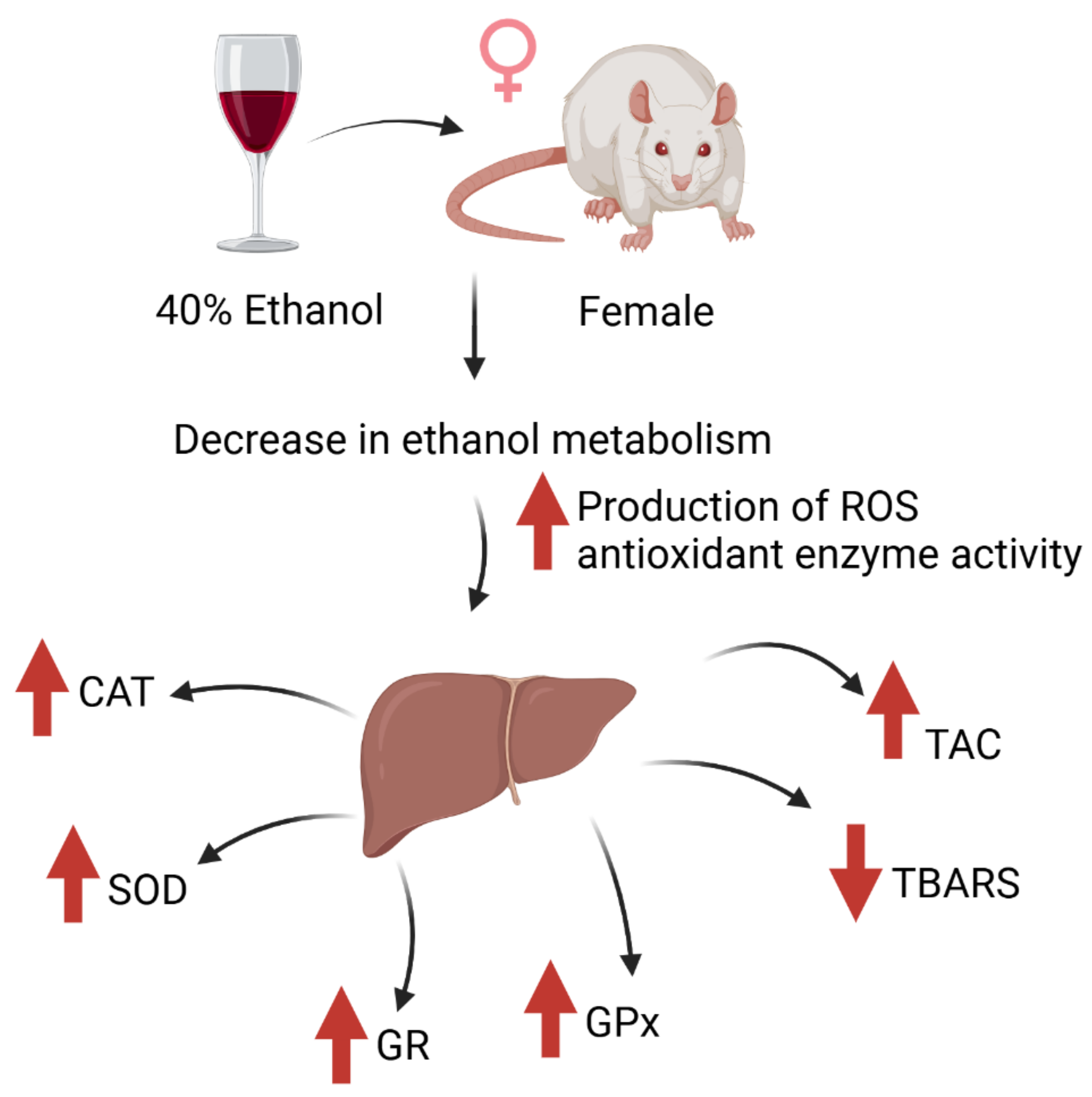 Gastroent 16 00013 g002