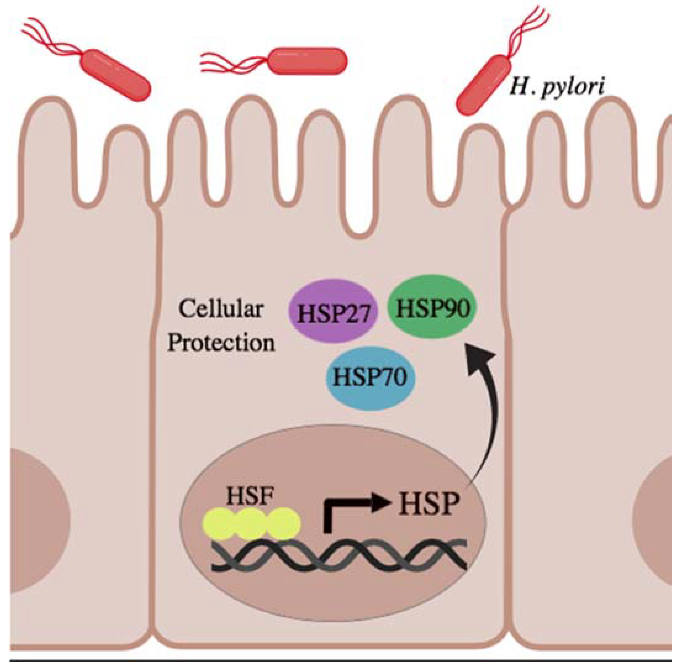 Gastrointestdisord 01 00005 g002