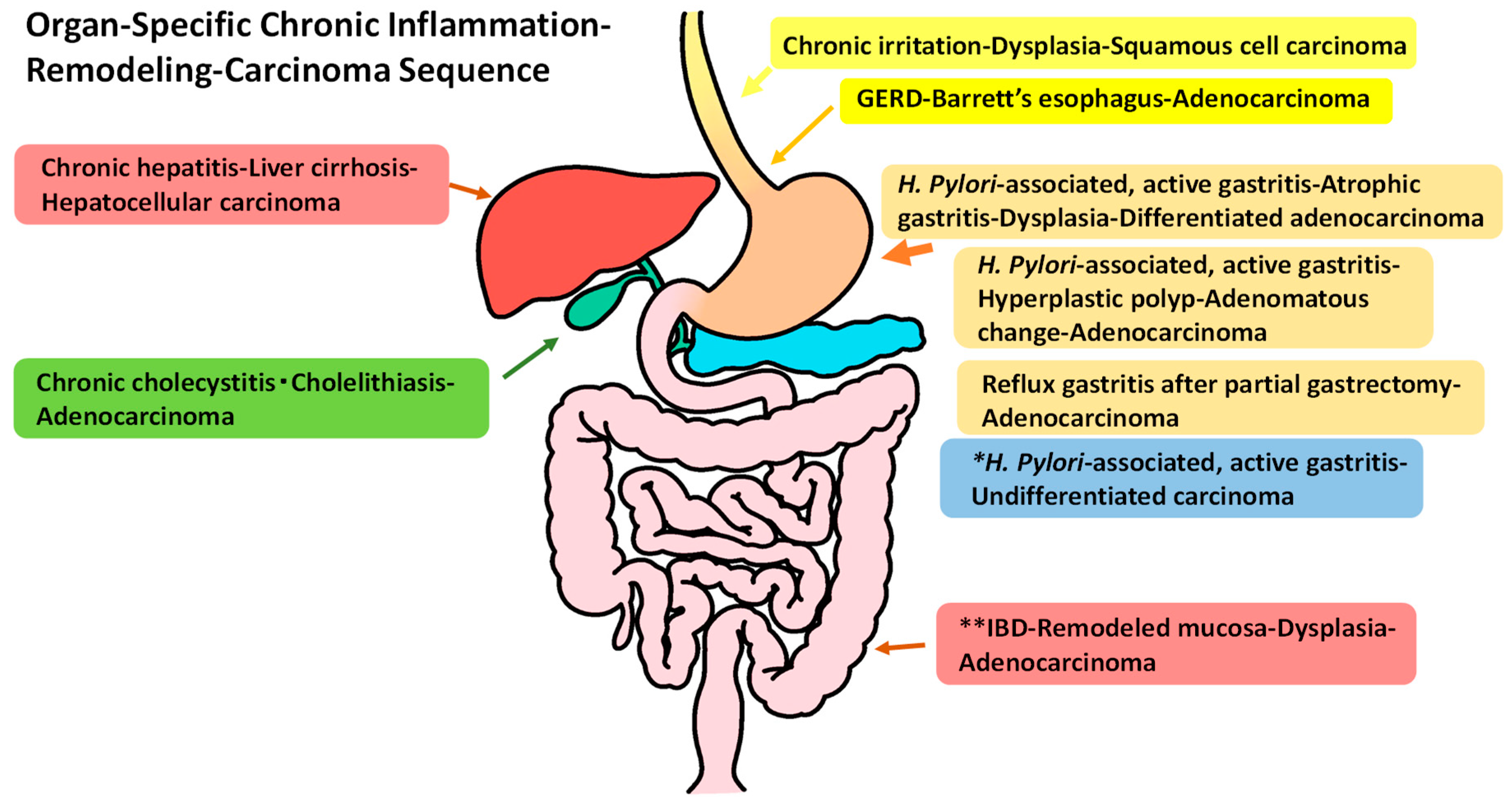 Gastrointestdisord 01 00028 g001