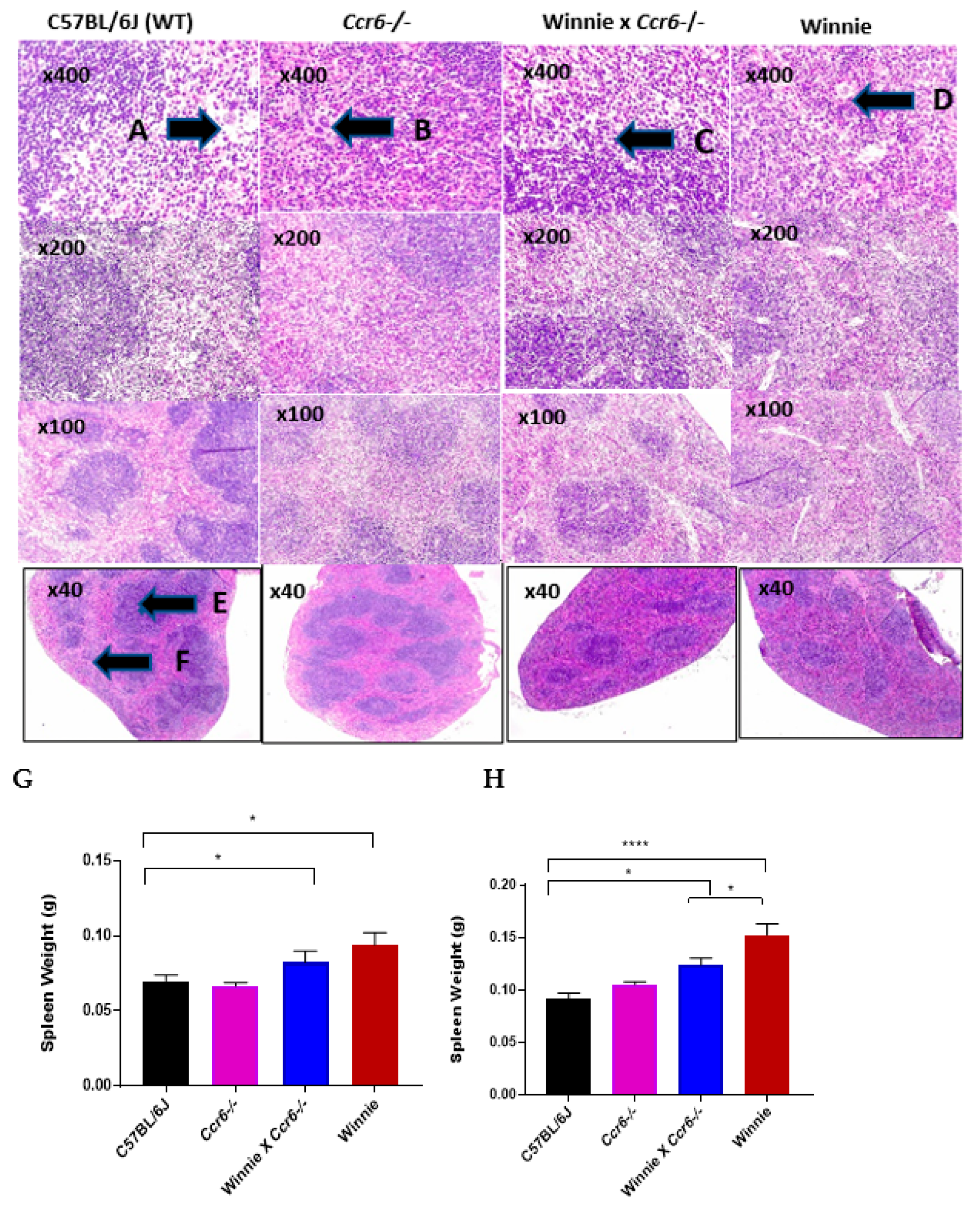 Gastrointestdisord 02 00004 g004