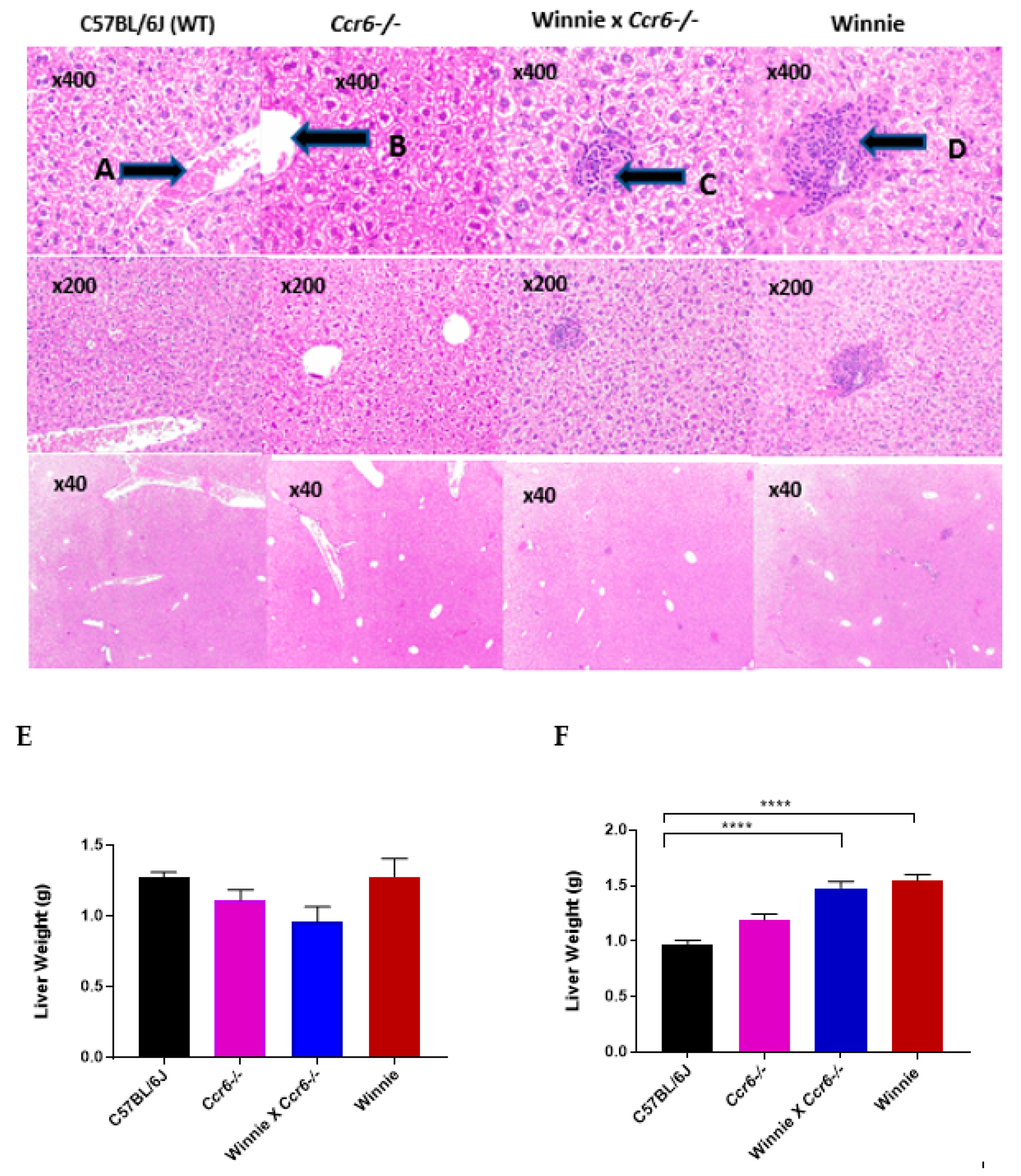 Gastrointestdisord 02 00004 g005