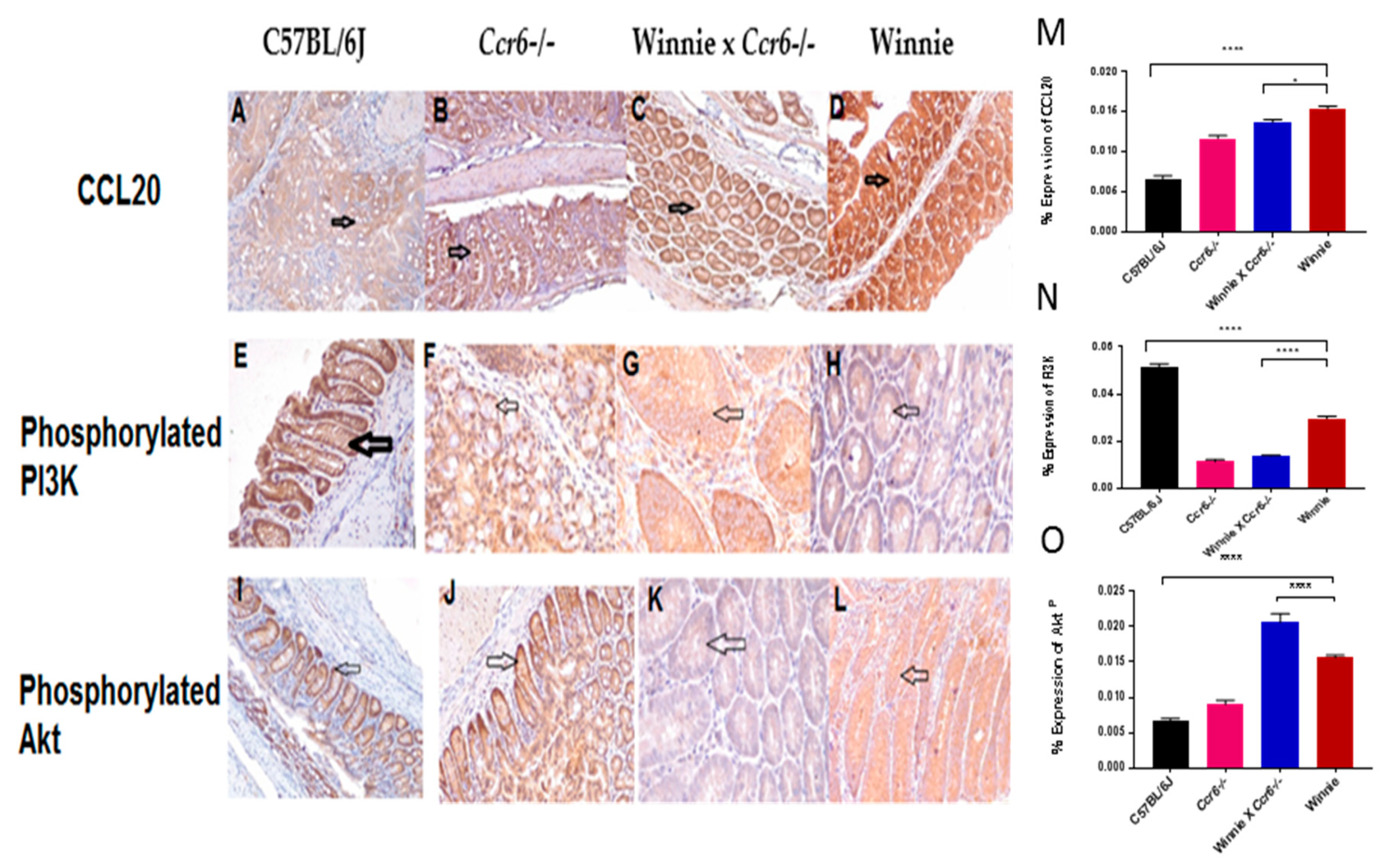 Gastrointestdisord 02 00004 g009