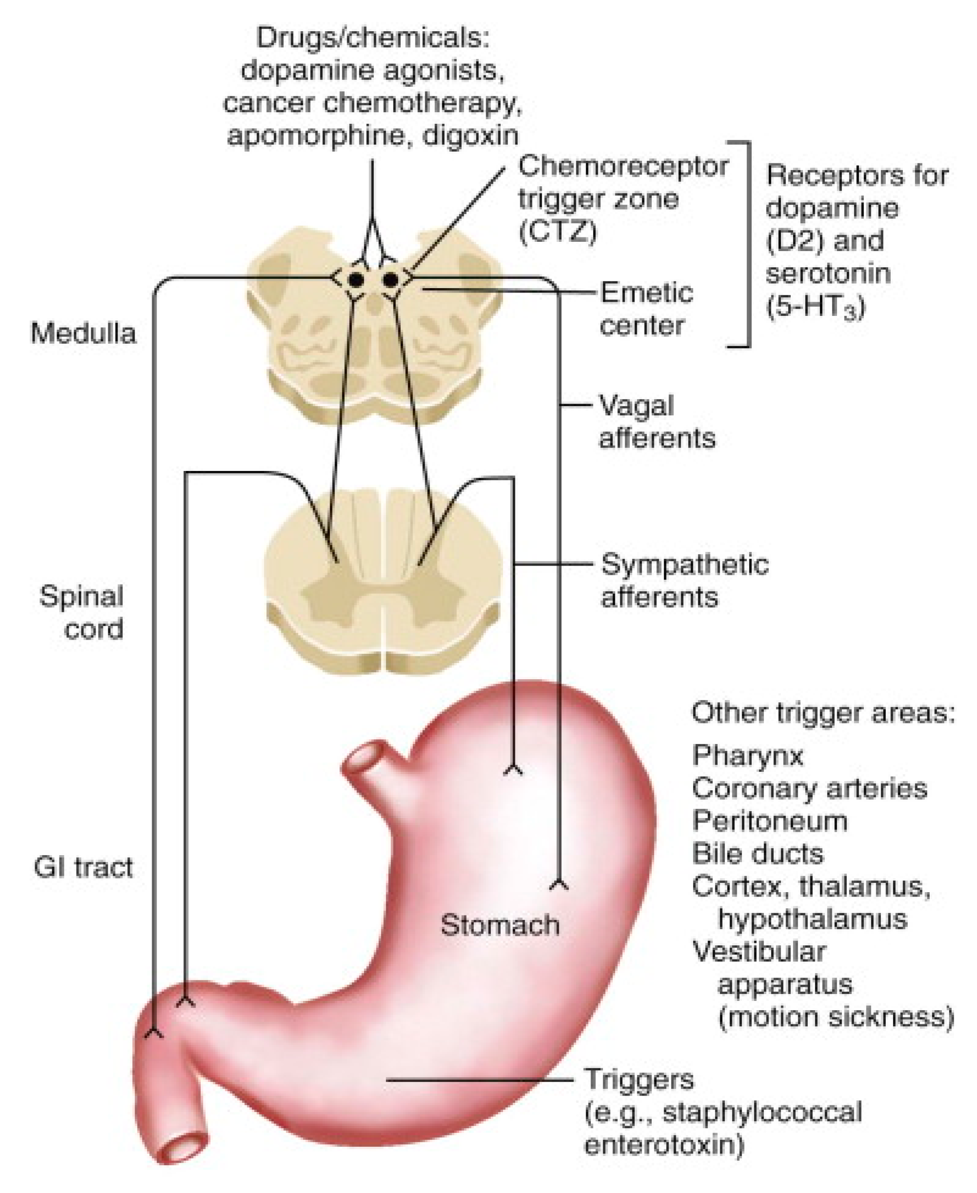 Gastrointestdisord 02 00006 g001