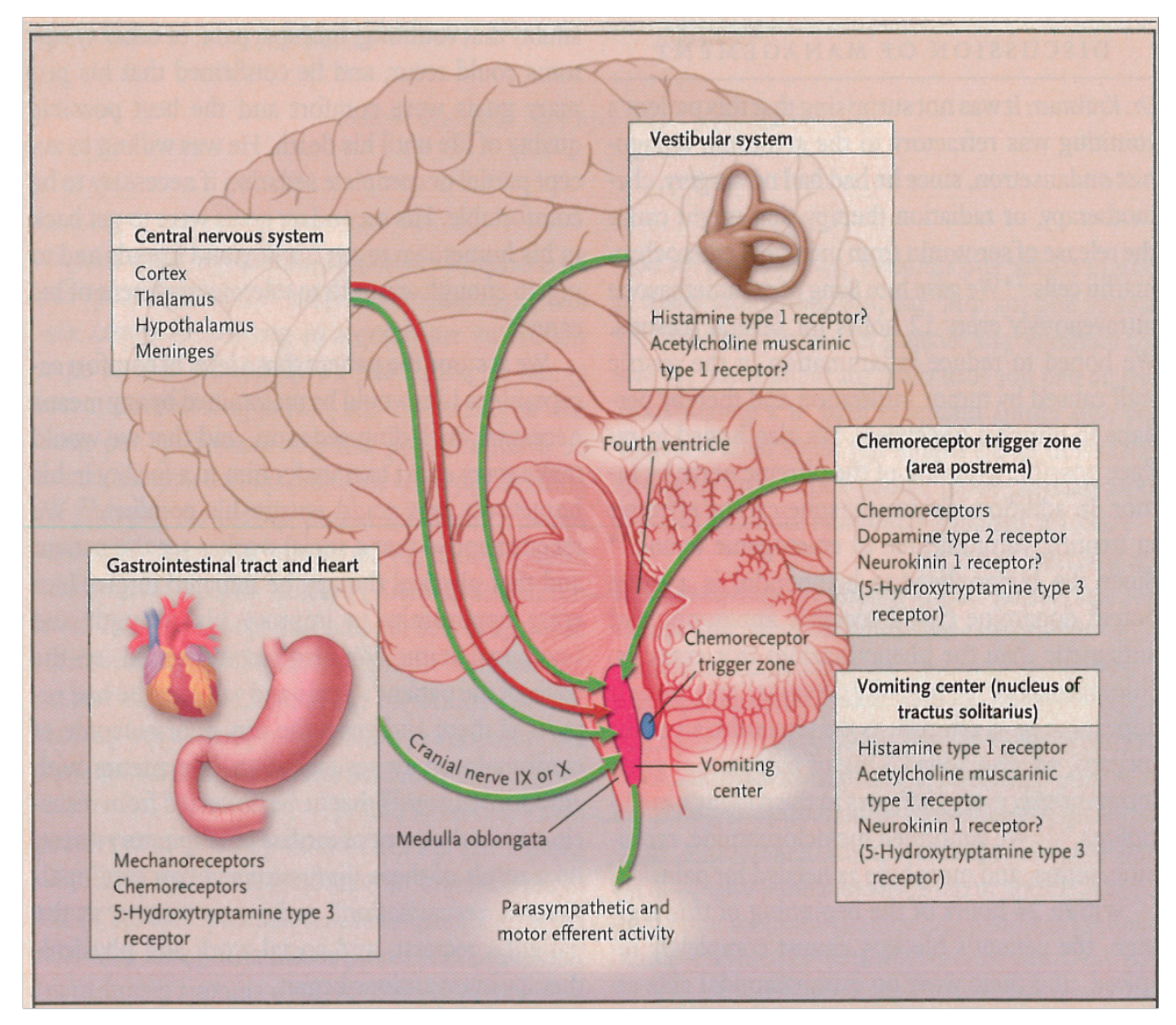 Gastrointestdisord 02 00006 g002