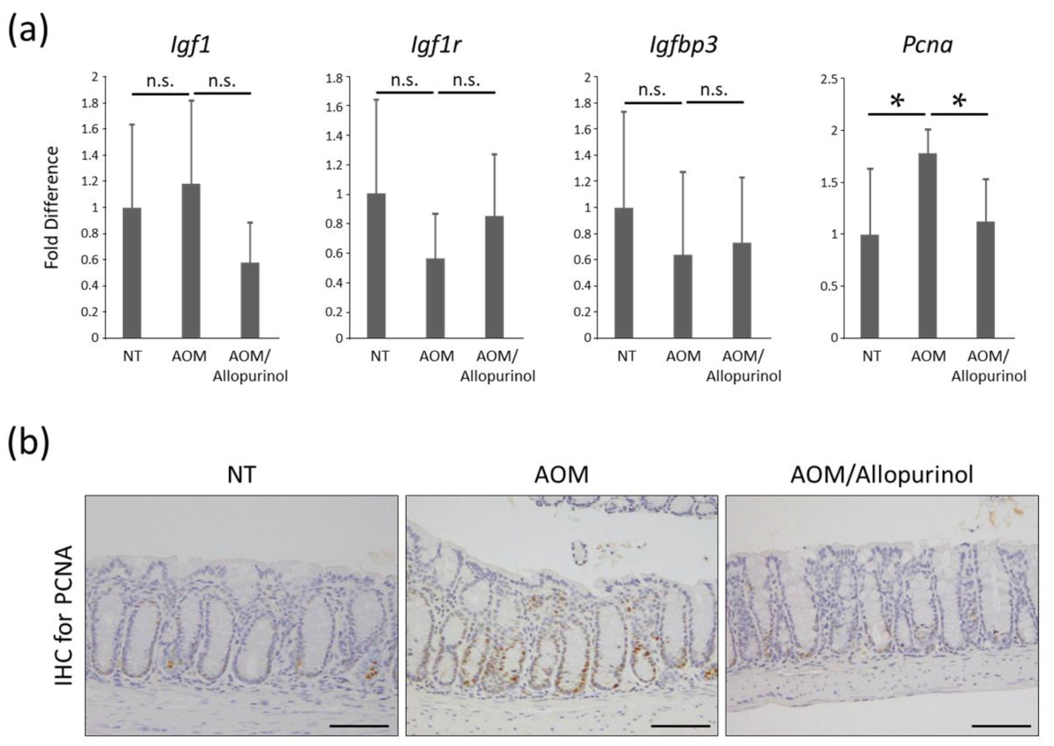 Gastrointestdisord 02 00035 g002 Gastrointestdisord 02 00035 g002