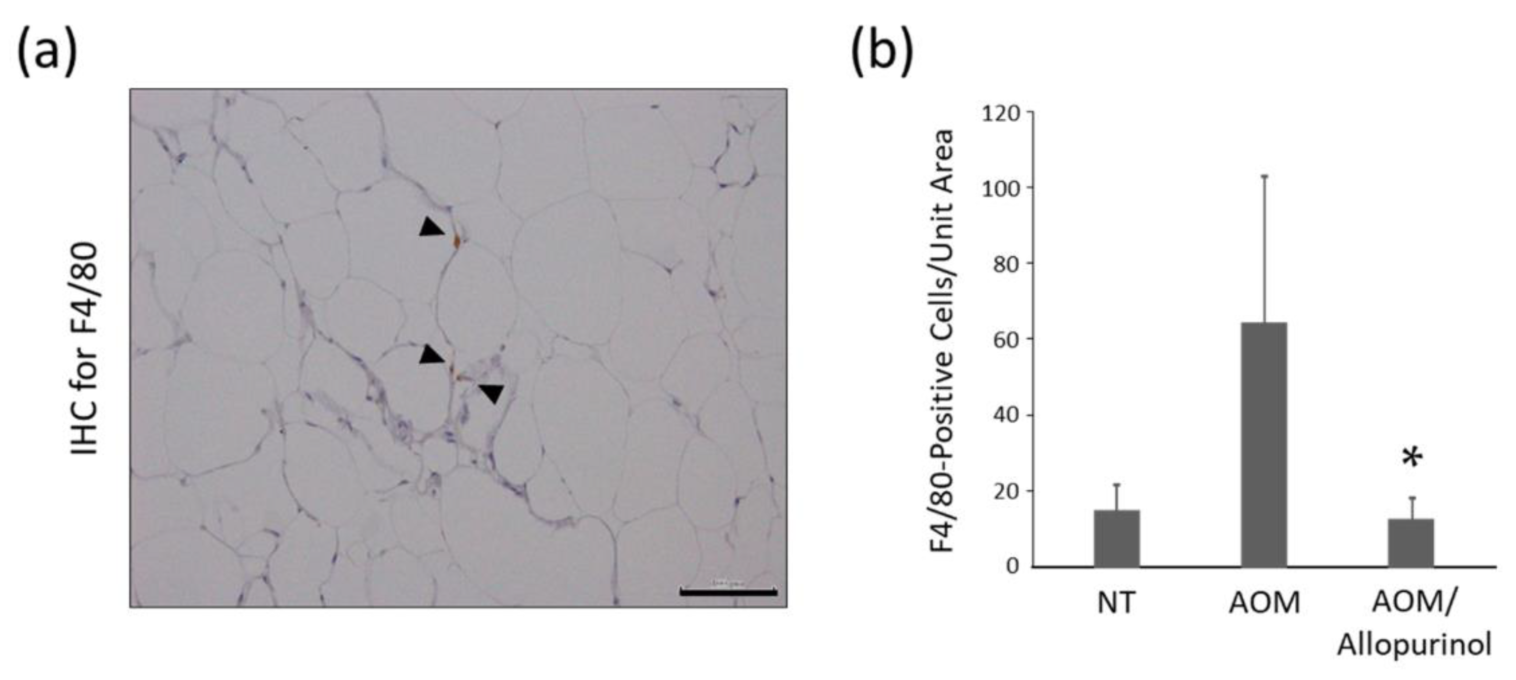 Gastrointestdisord 02 00035 g003 Gastrointestdisord 02 00035 g003