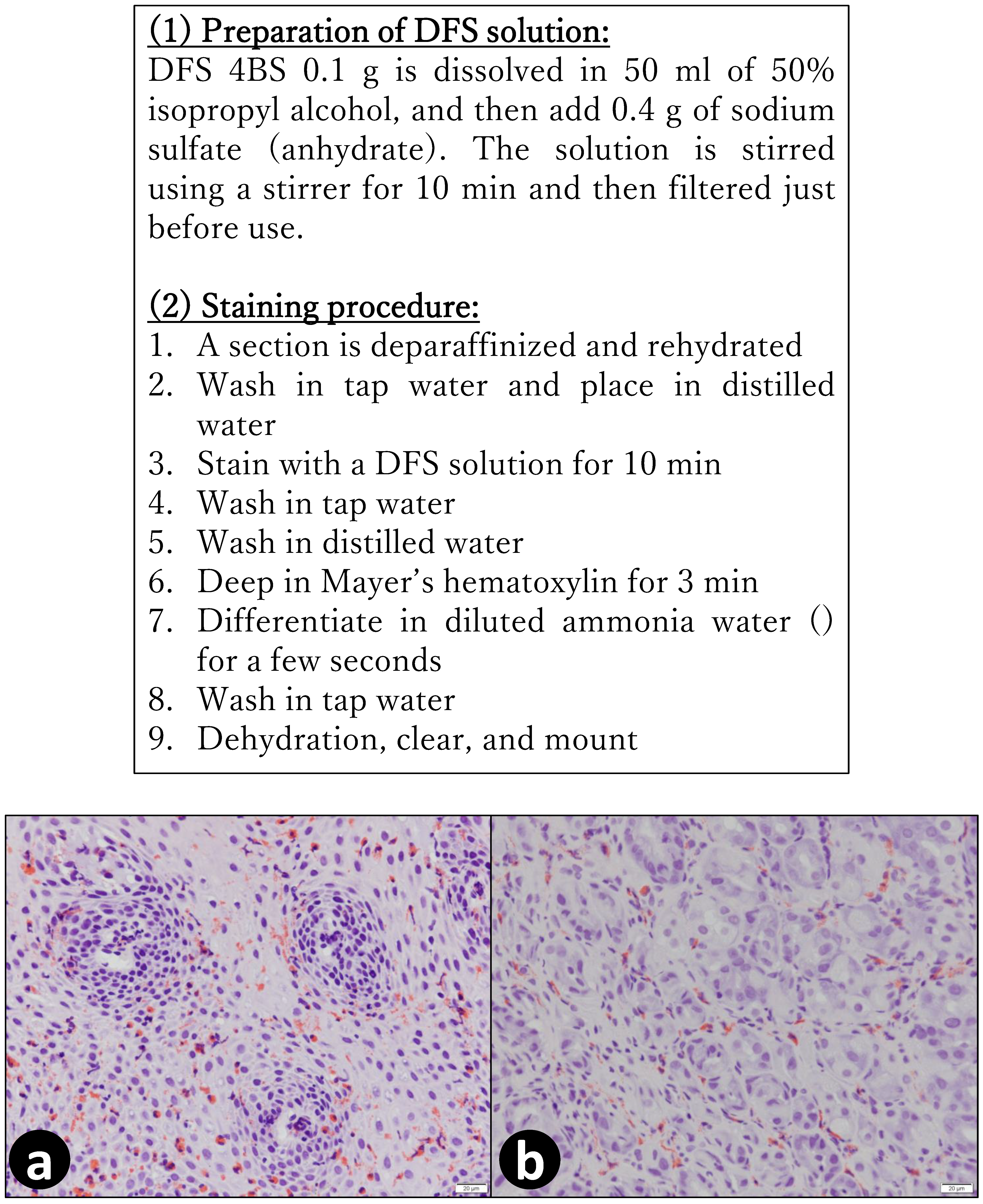 Gastrointestdisord 02 00040 g002
