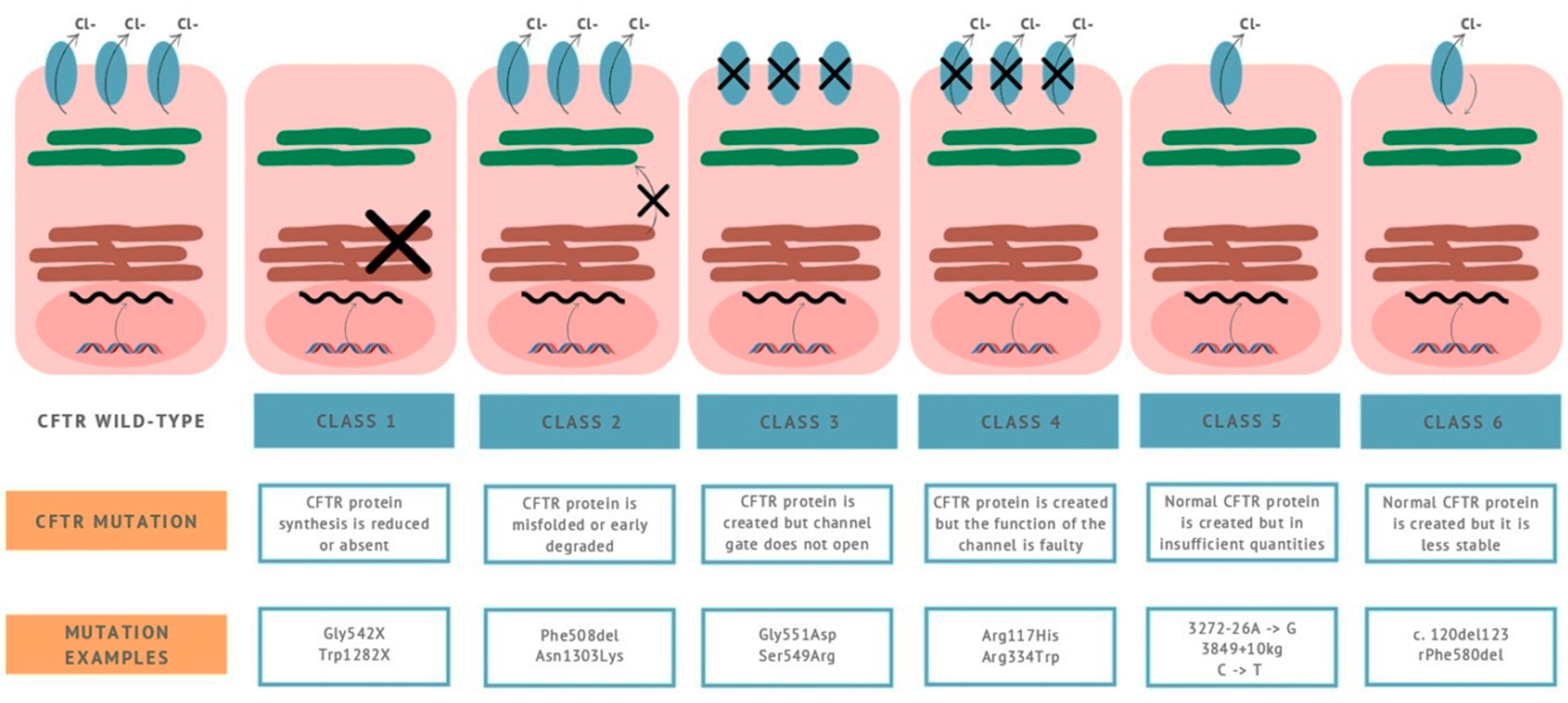 Gastrointestdisord 03 00009 g001