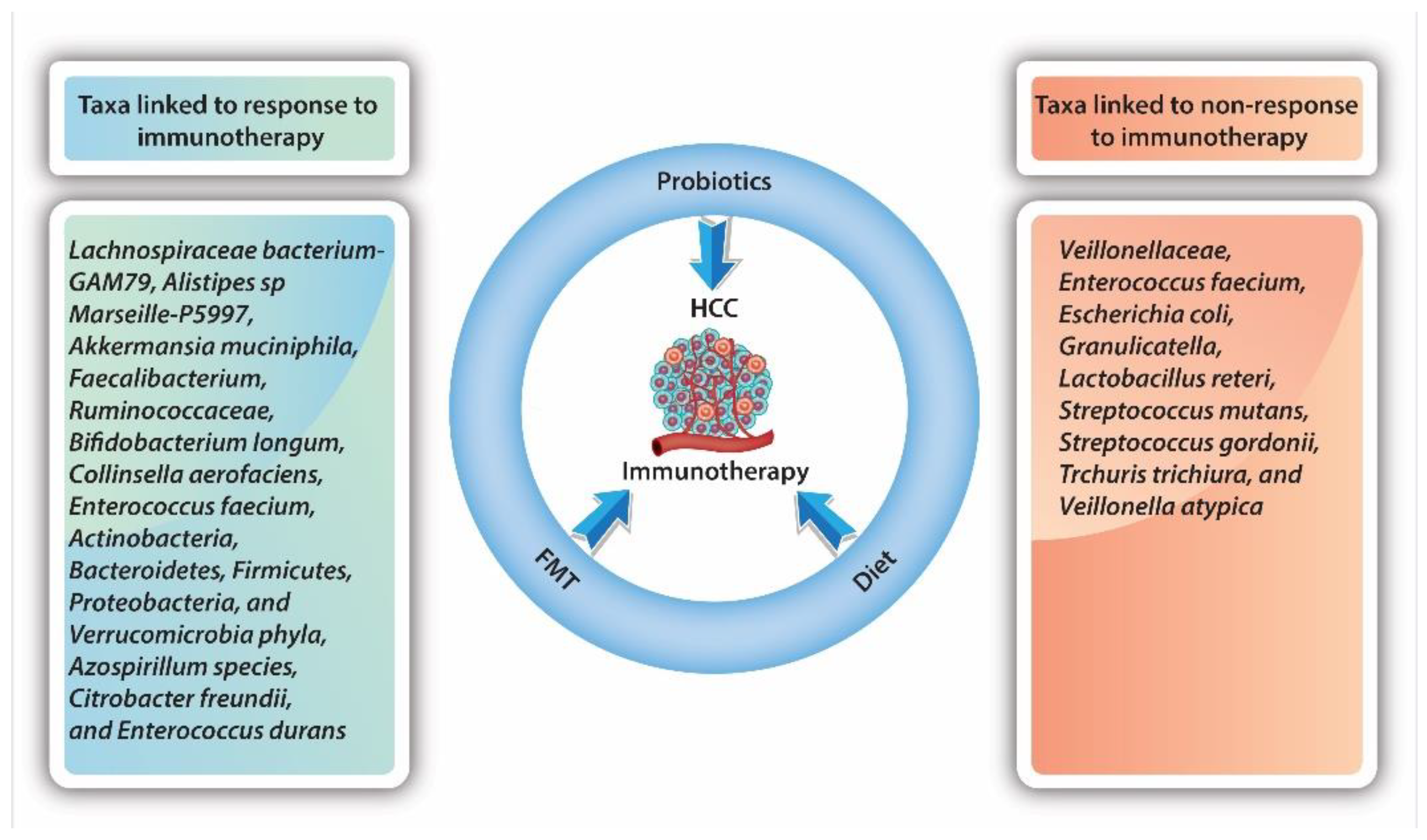 Gastrointestdisord 05 00013 g002