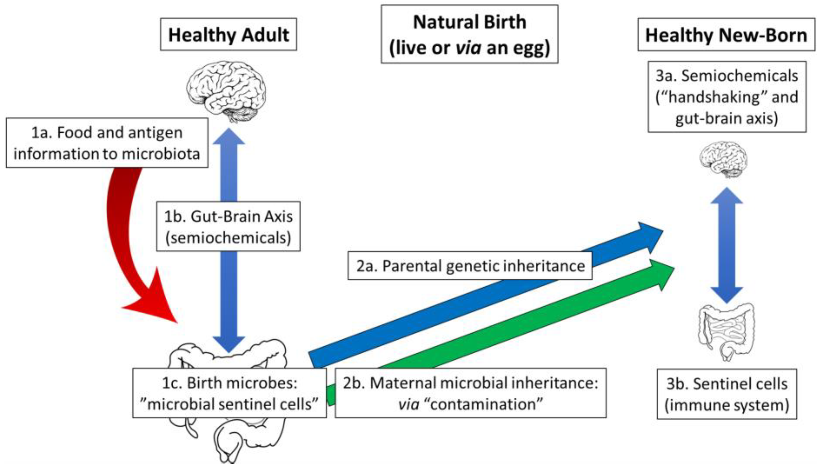 Gastrointestdisord 05 00018 g001 Gastrointestdisord 05 00018 g001