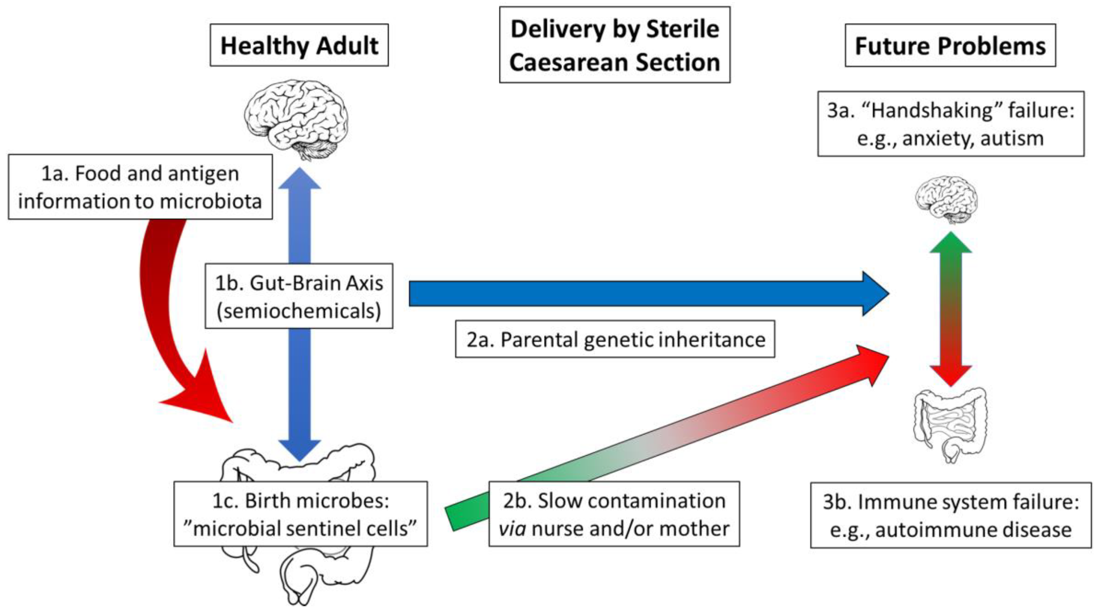 Gastrointestdisord 05 00018 g002 Gastrointestdisord 05 00018 g002