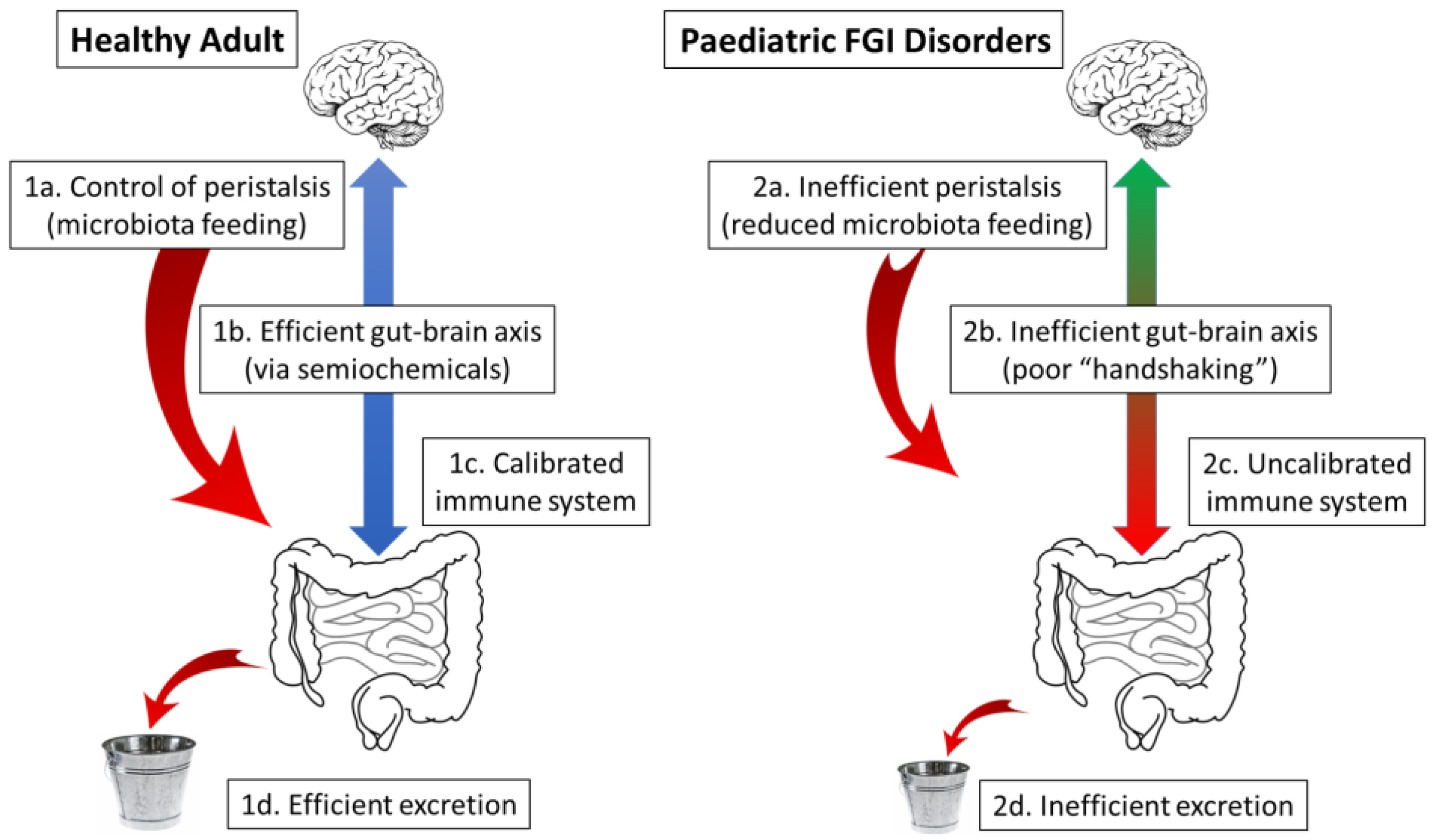 Gastrointestdisord 05 00018 g003 Gastrointestdisord 05 00018 g003