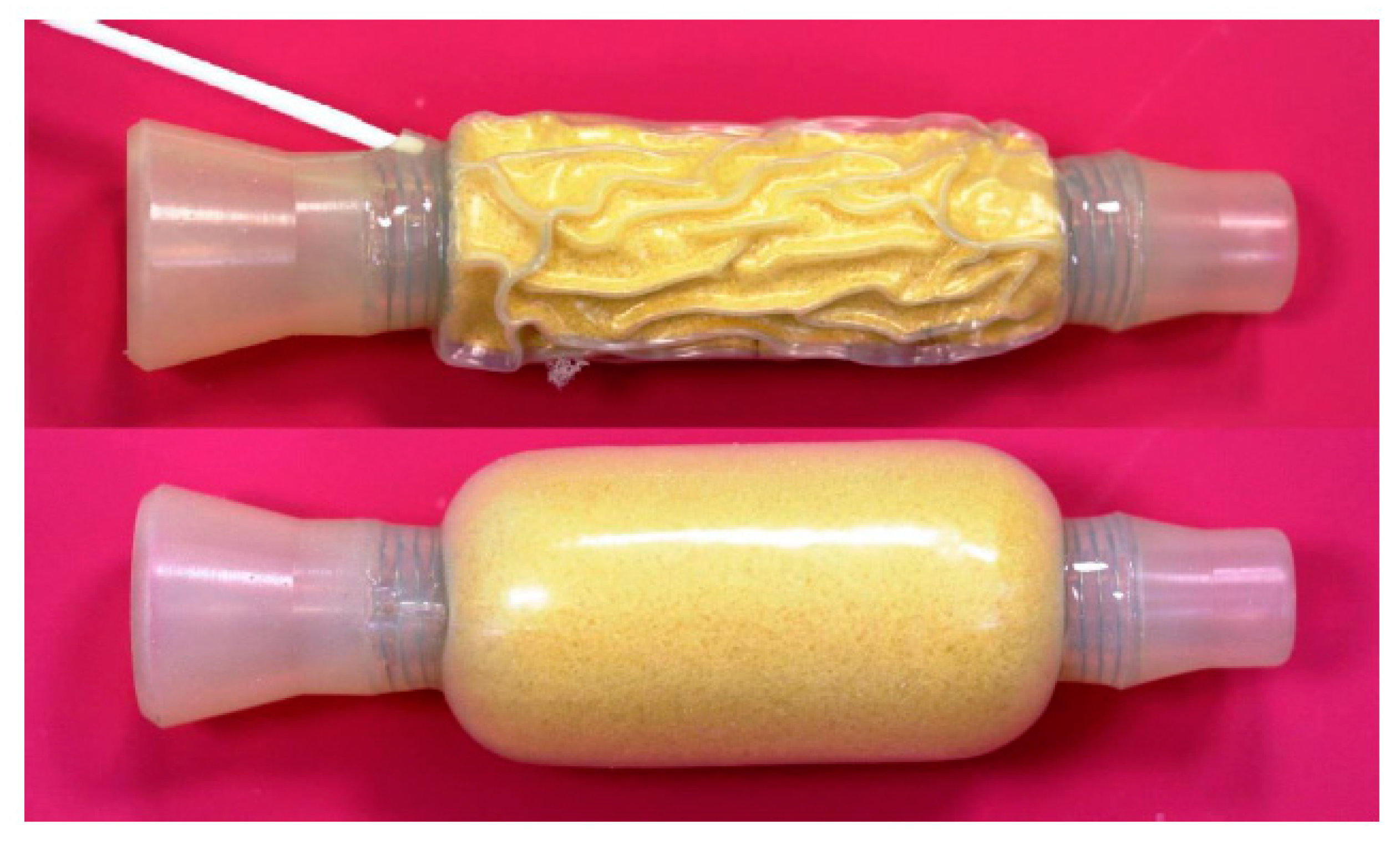 Gastrointestdisord 05 00032 g001 Gastrointestdisord 05 00032 g001