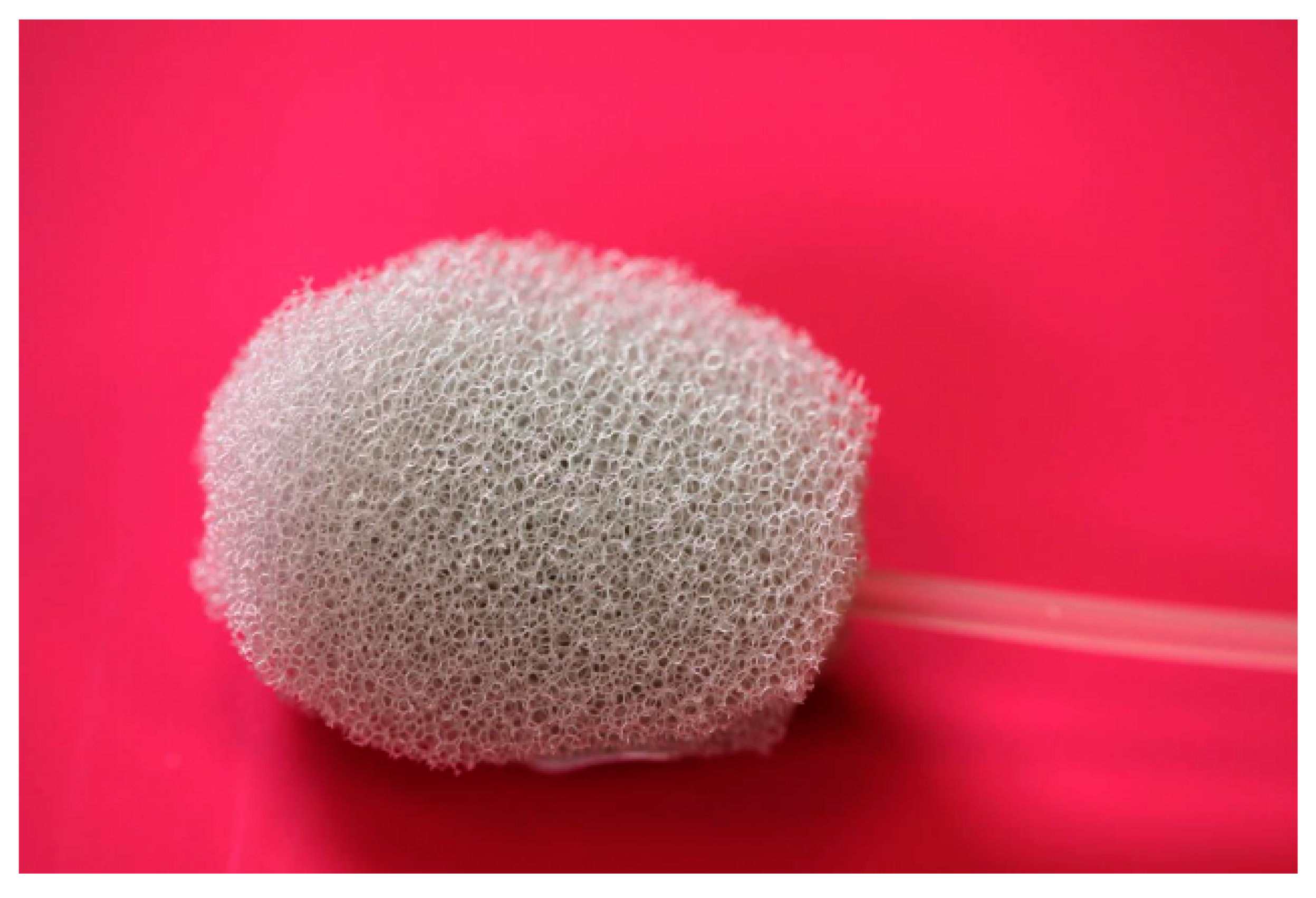 Gastrointestdisord 05 00032 g004 Gastrointestdisord 05 00032 g004