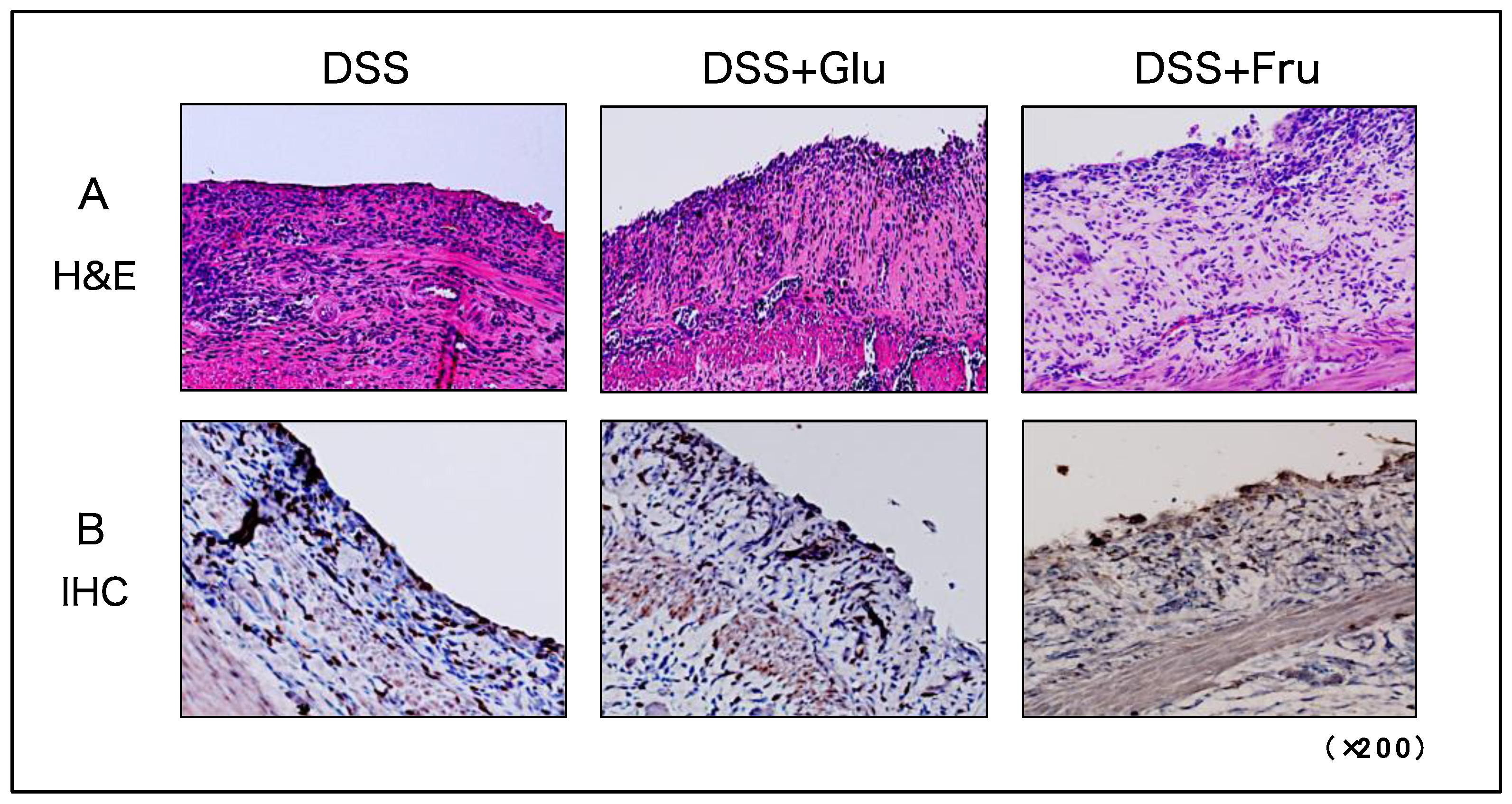 Gastrointestdisord 05 00039 g004