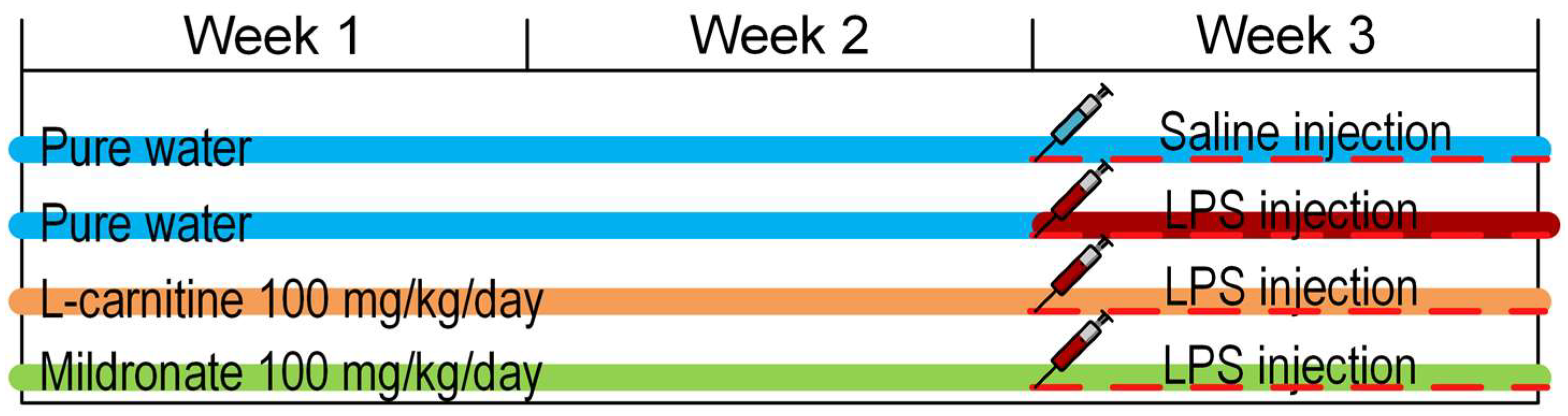 Gastrointestdisord 05 00044 g007