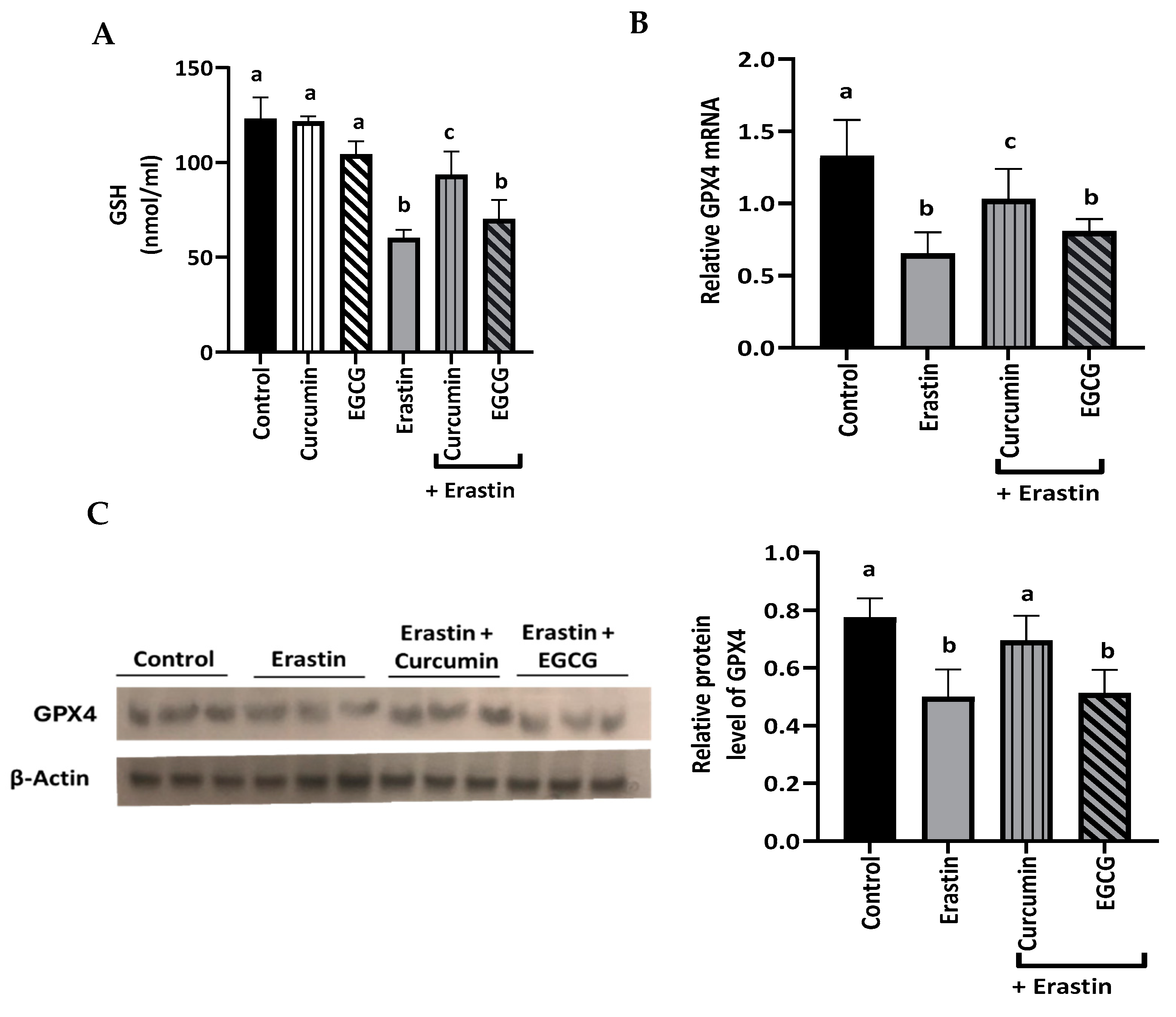 Gastrointestdisord 07 00004 g004