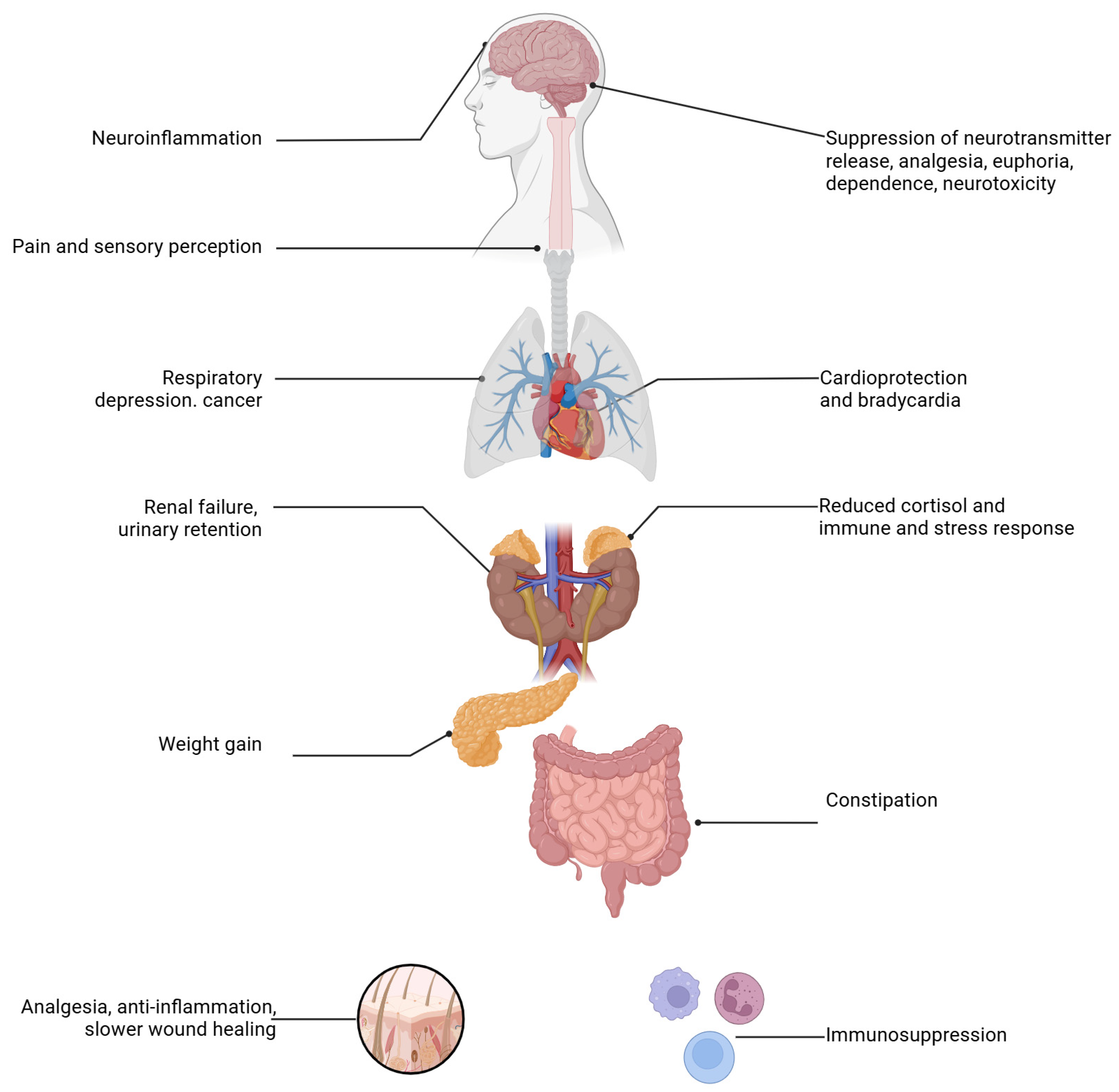 Gastrointestdisord 07 00011 g003
