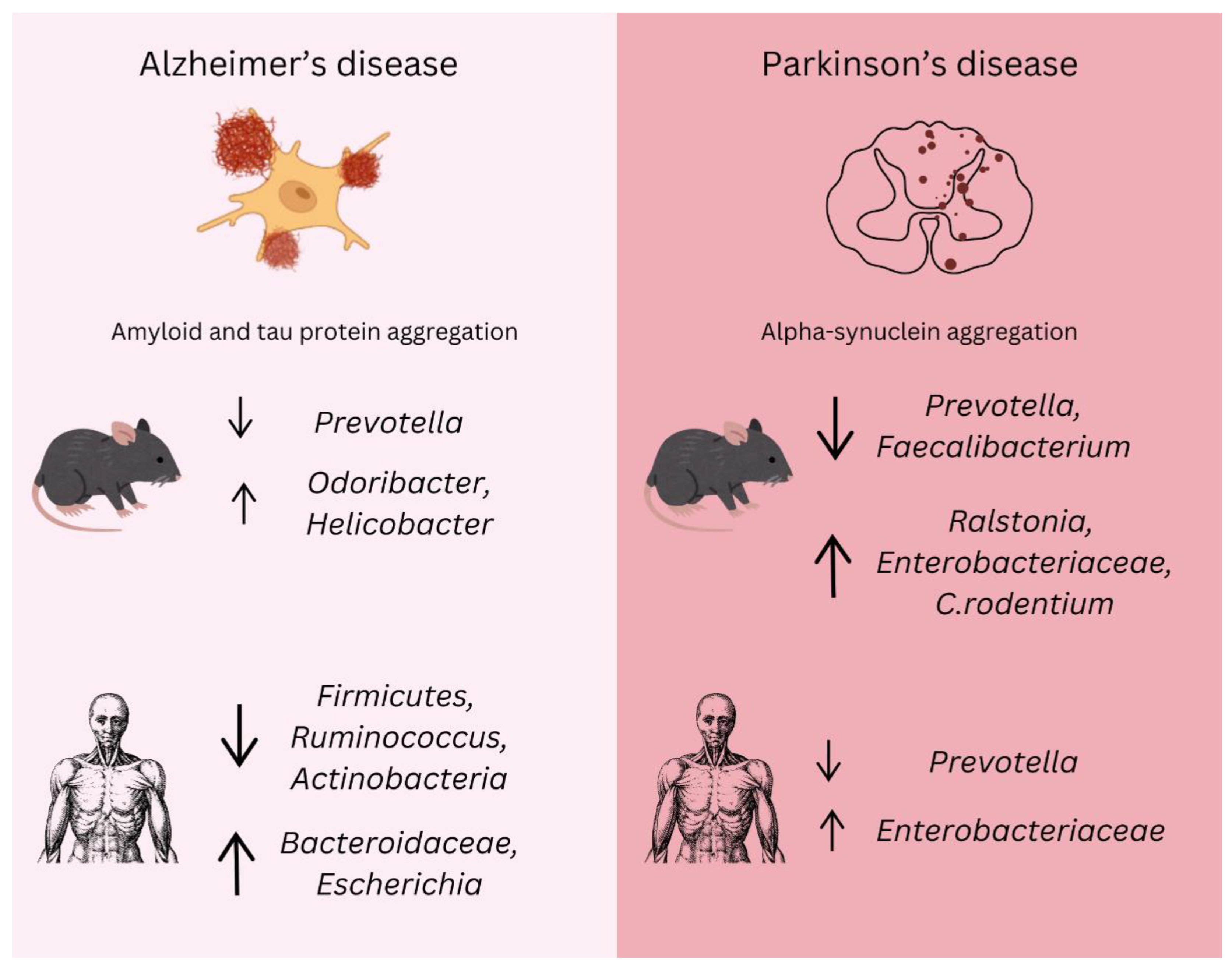 Gastrointestdisord 07 00028 g003