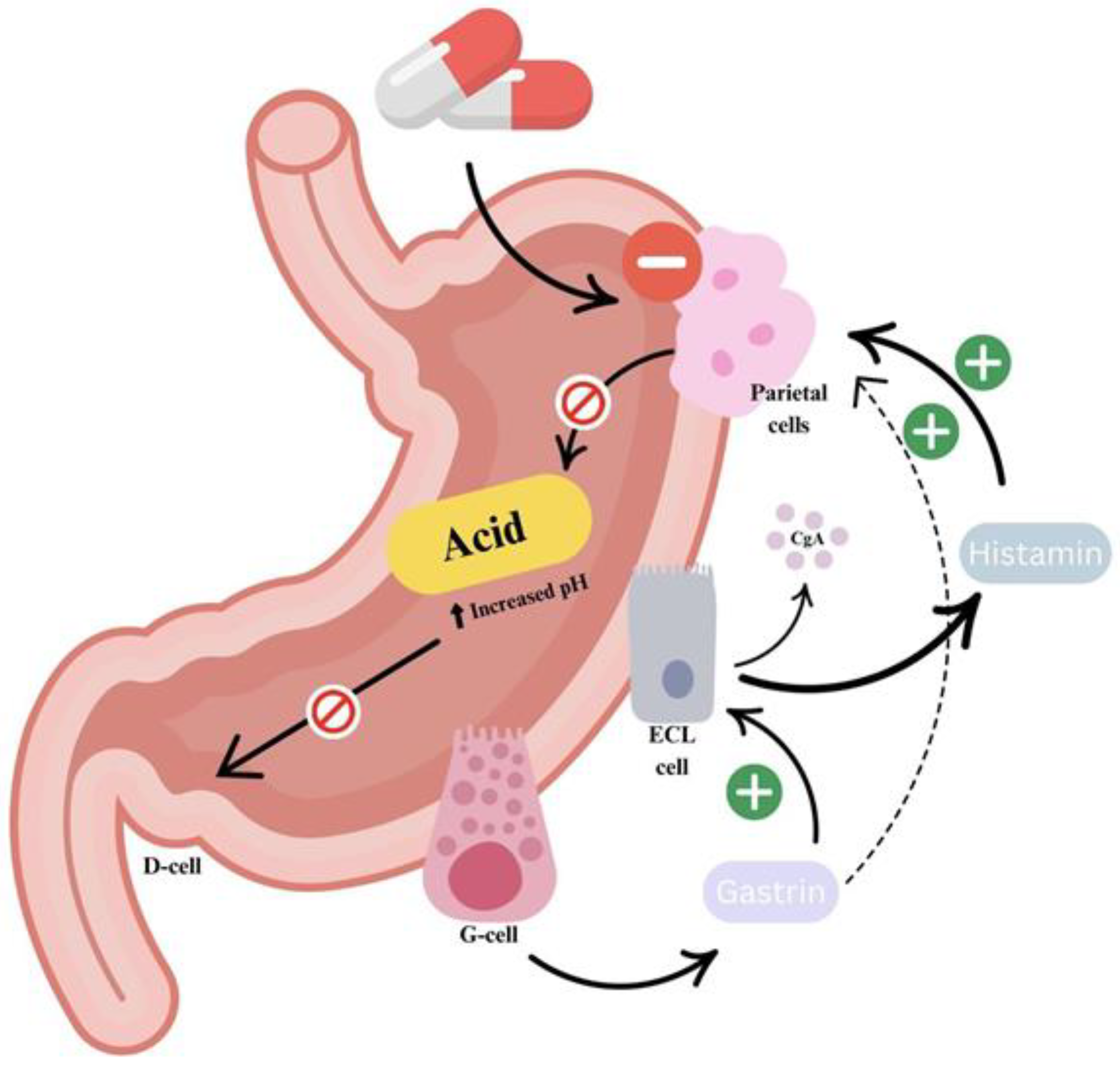 Gastrointestdisord 07 00033 g001