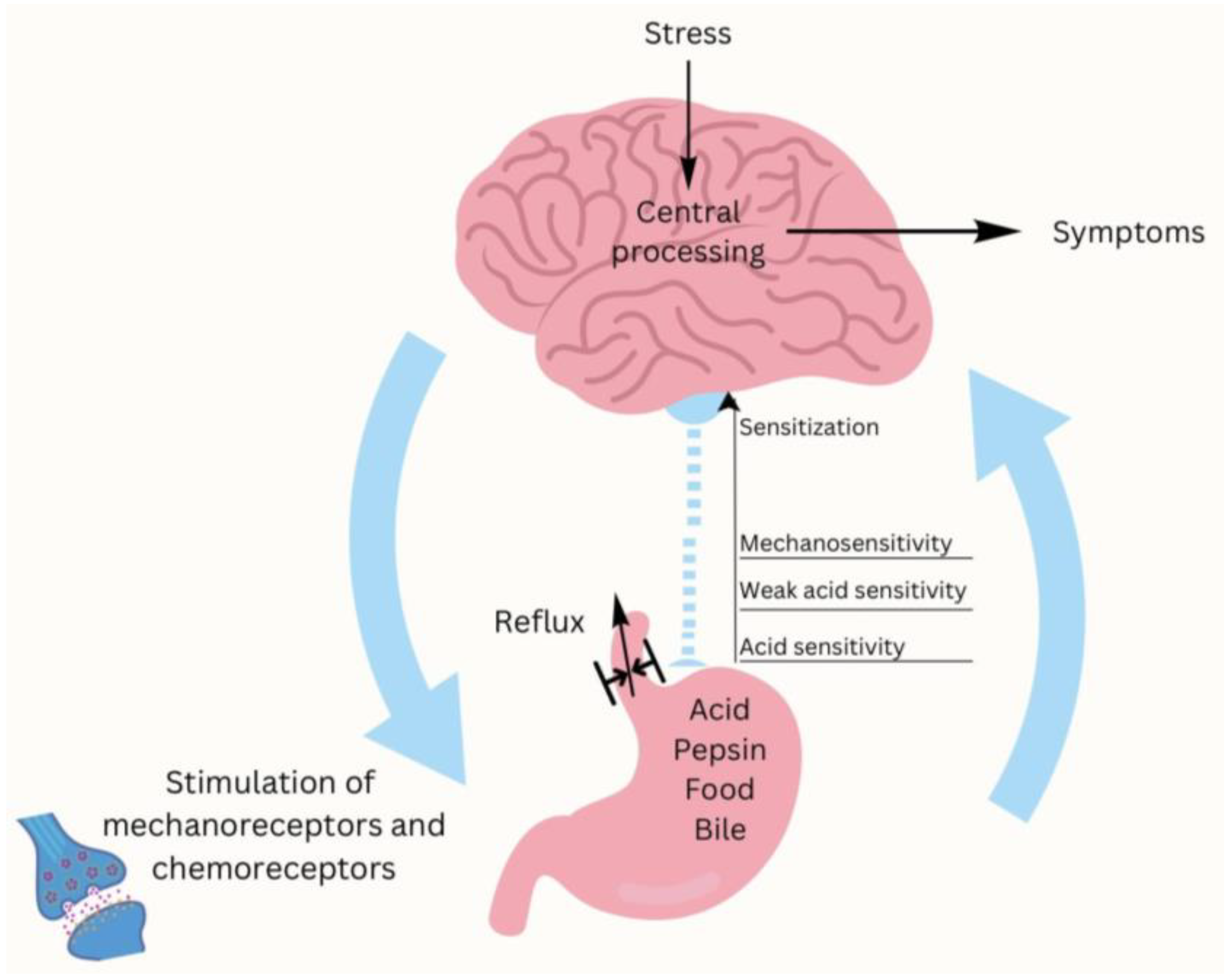 Gastrointestdisord 07 00033 g002