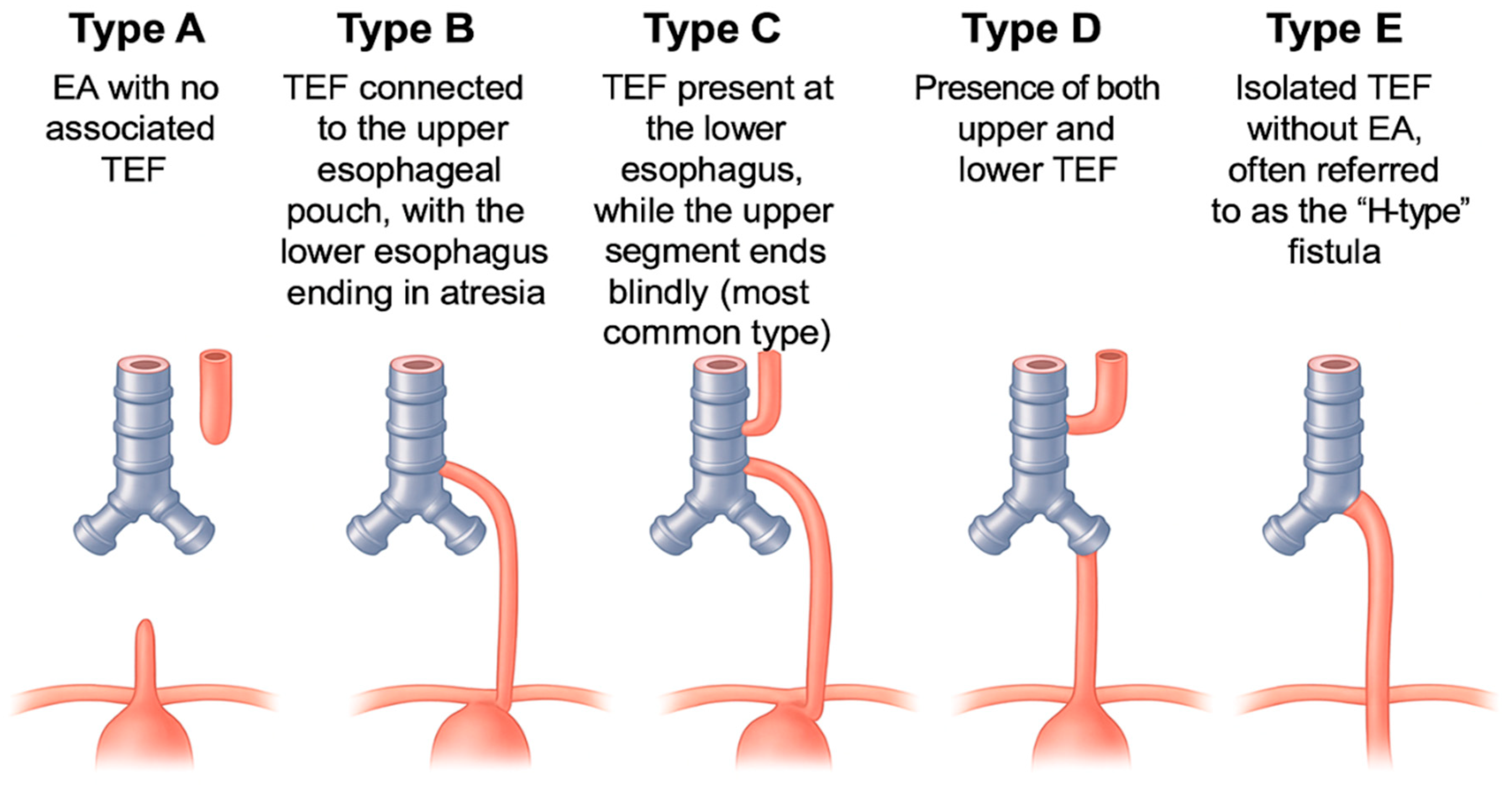 Gastrointestdisord 07 00039 g001