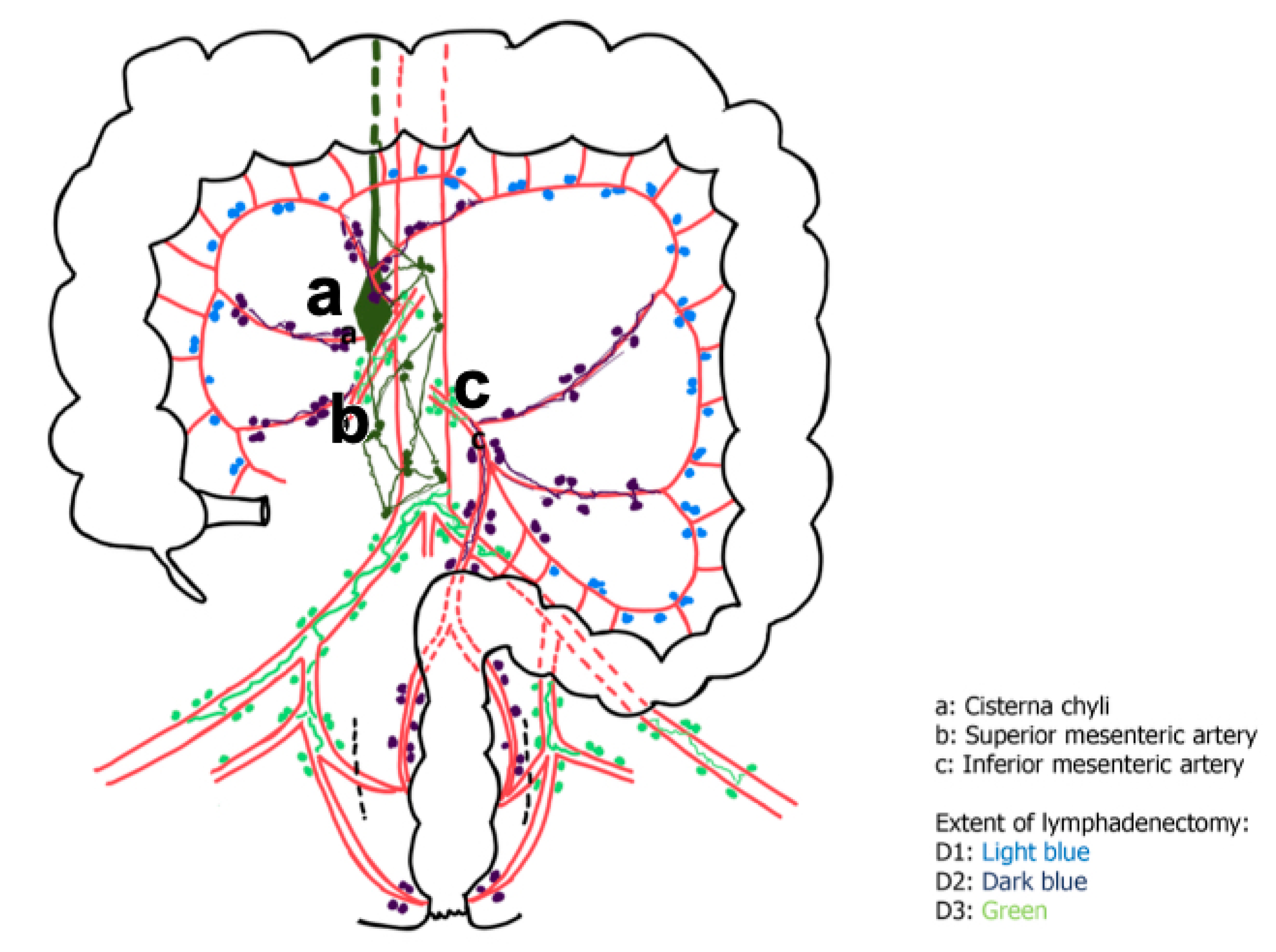 Gastrointestdisord 07 00040 g002