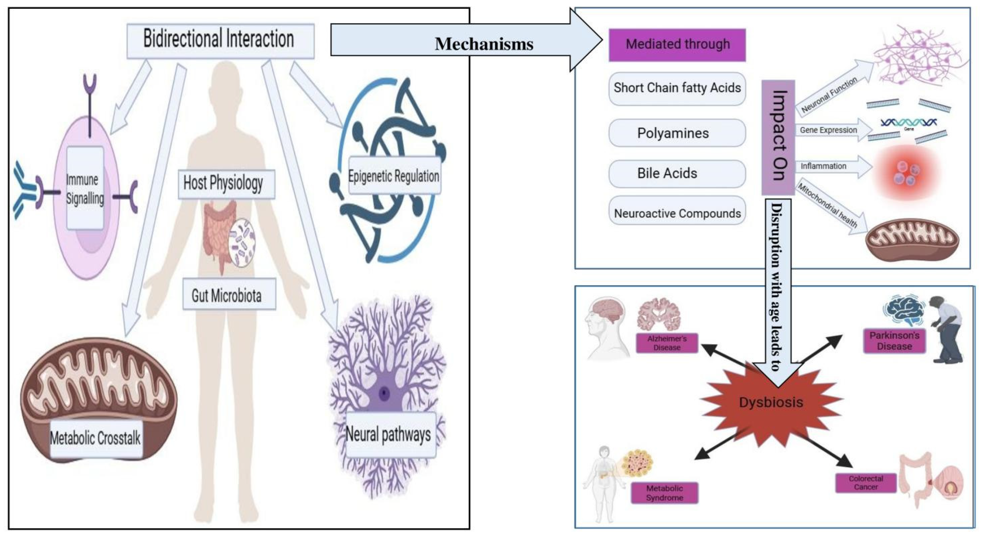 Gastrointestdisord 07 00068 g002 Gastrointestdisord 07 00068 g002