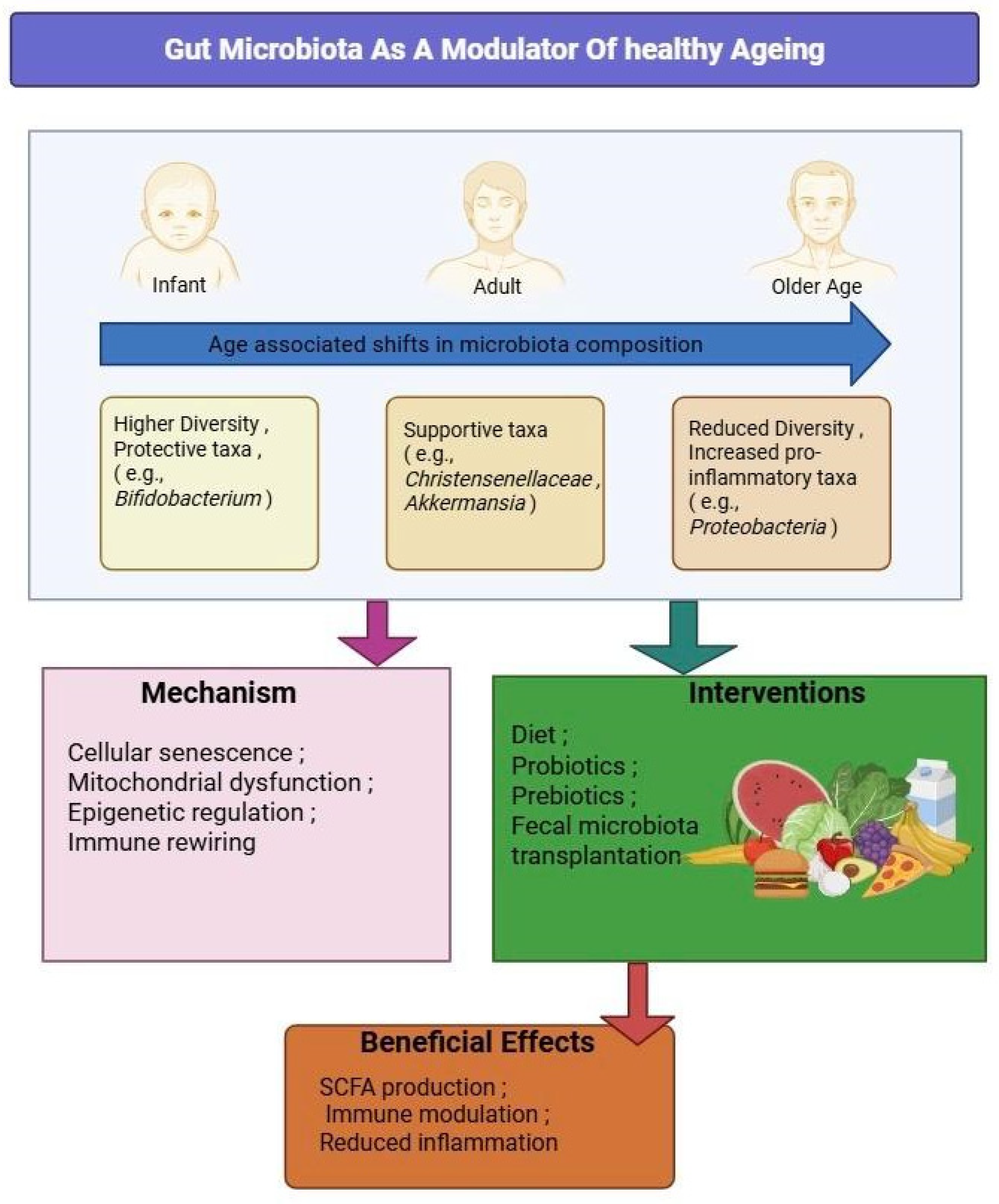 Gastrointestdisord 07 00068 g004 Gastrointestdisord 07 00068 g004