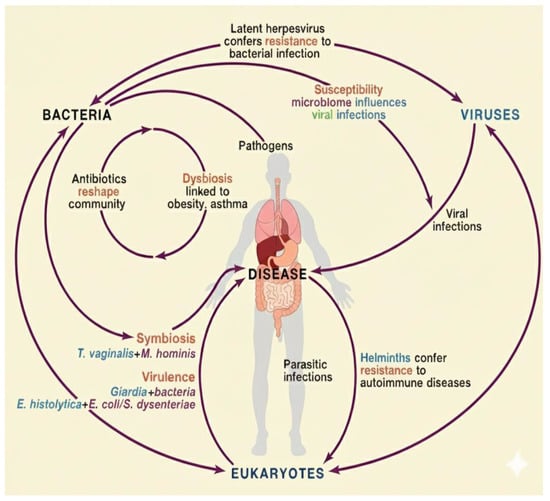 Gastrointestdisord 07 00077 g002