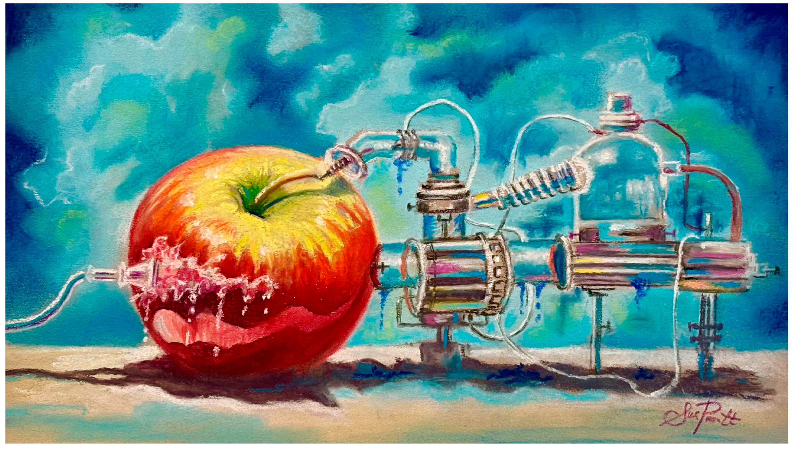 Gastronomy 02 00004 g001