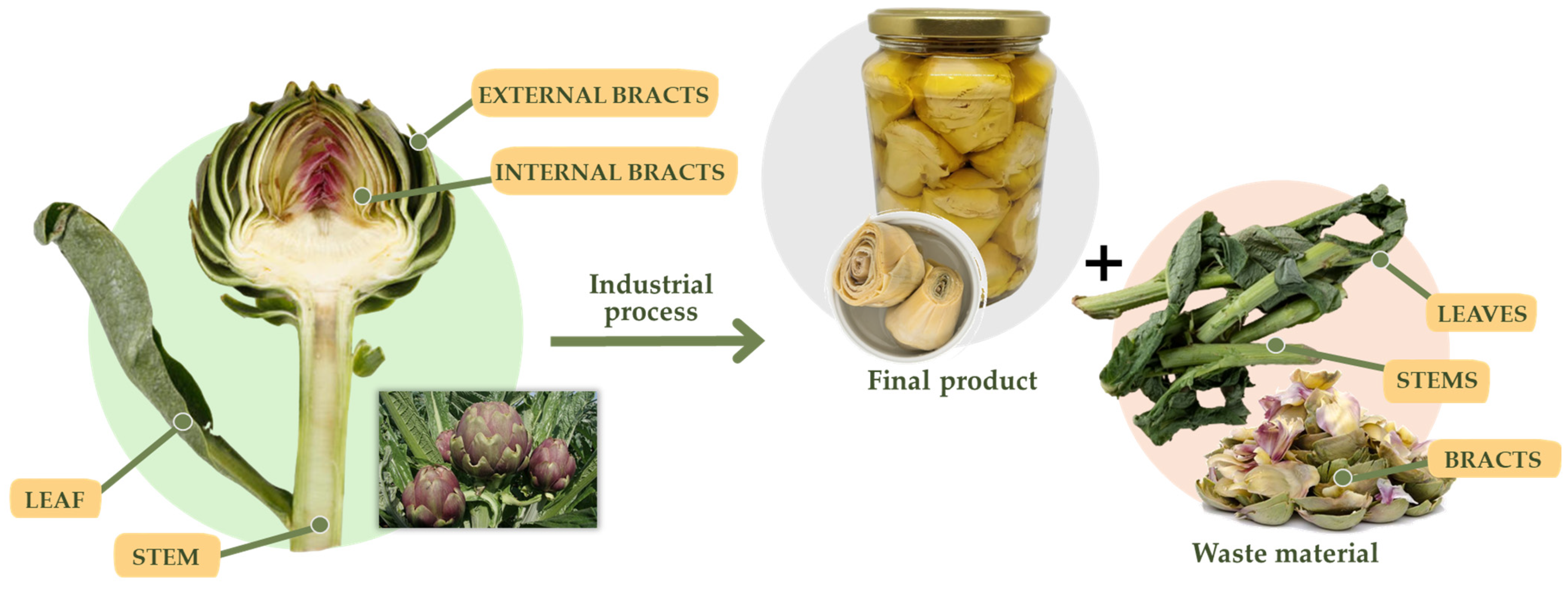 Gastronomy 02 00010 g001