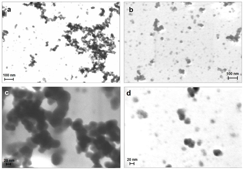 Gels 01 00024 g001 1024