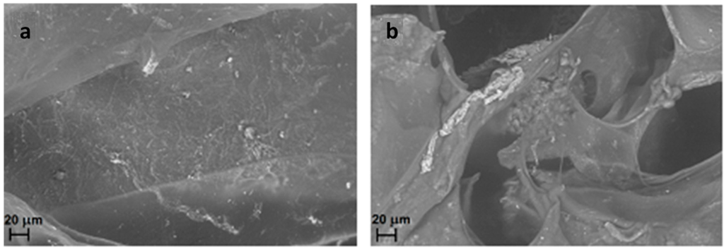 Gels 01 00024 g009 1024