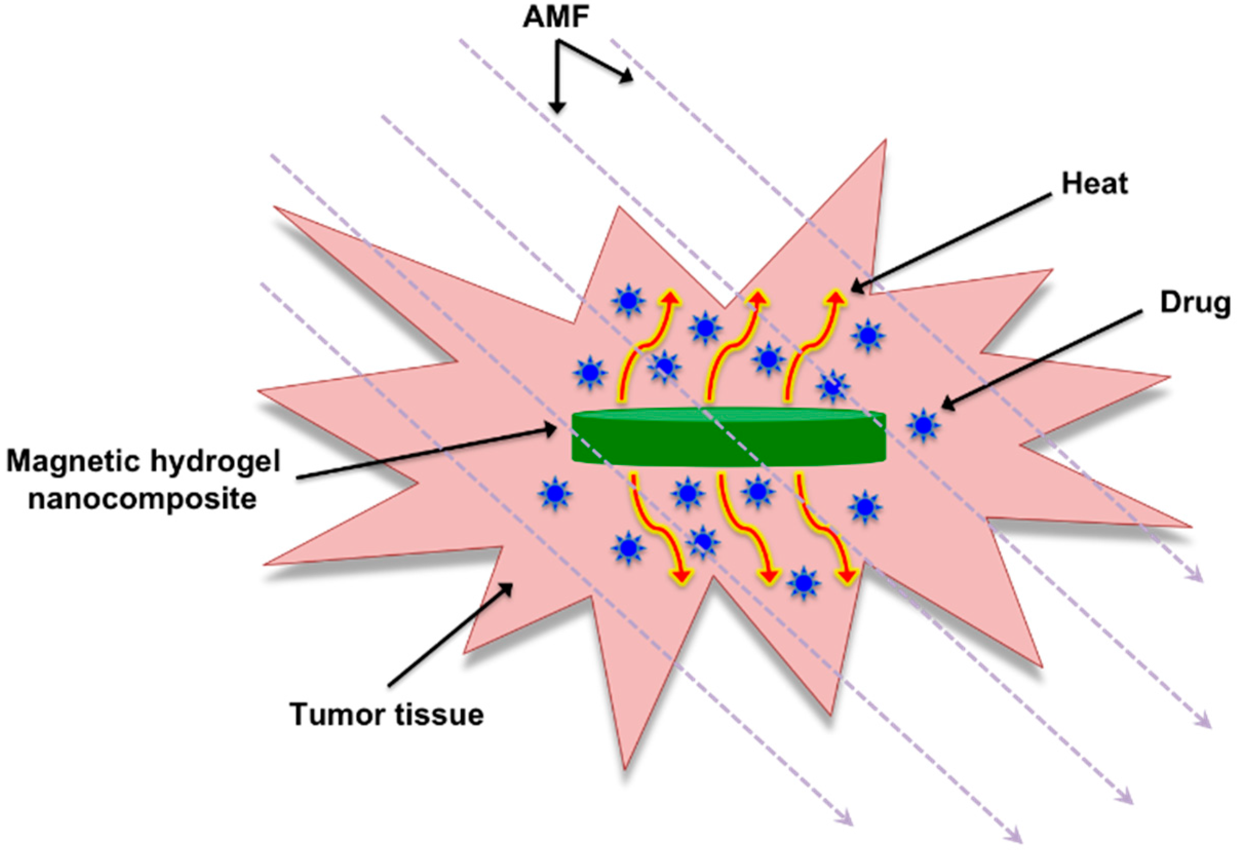 Gels 01 00135 g001