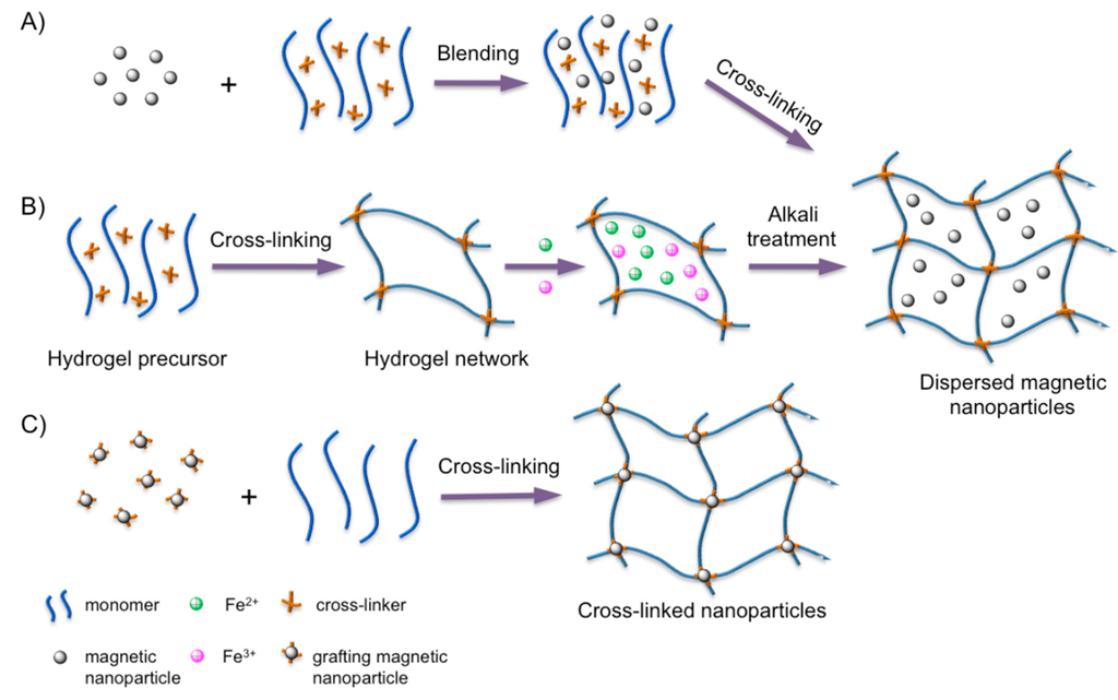 Gels 01 00135 g002 1024