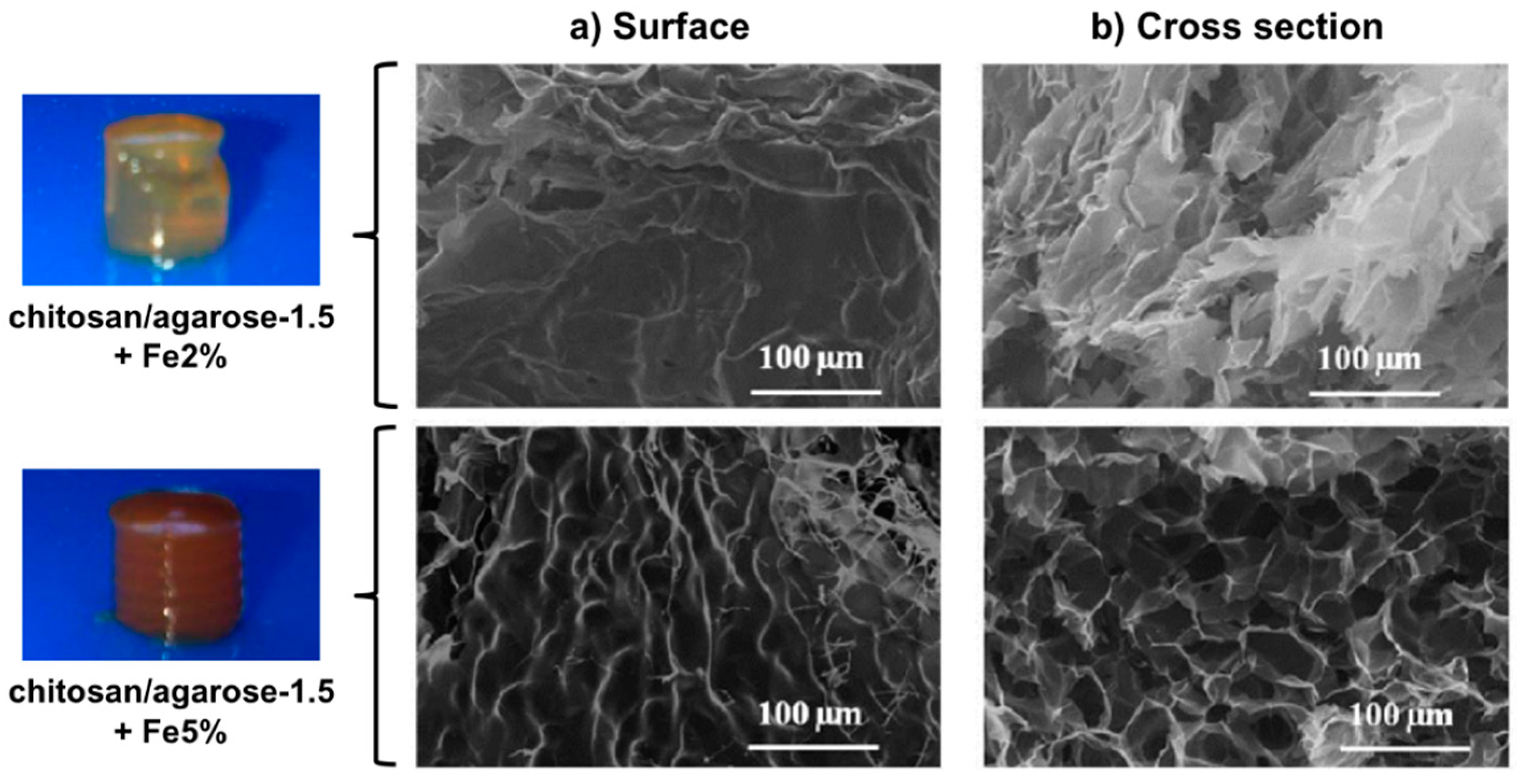 Gels 01 00135 g005