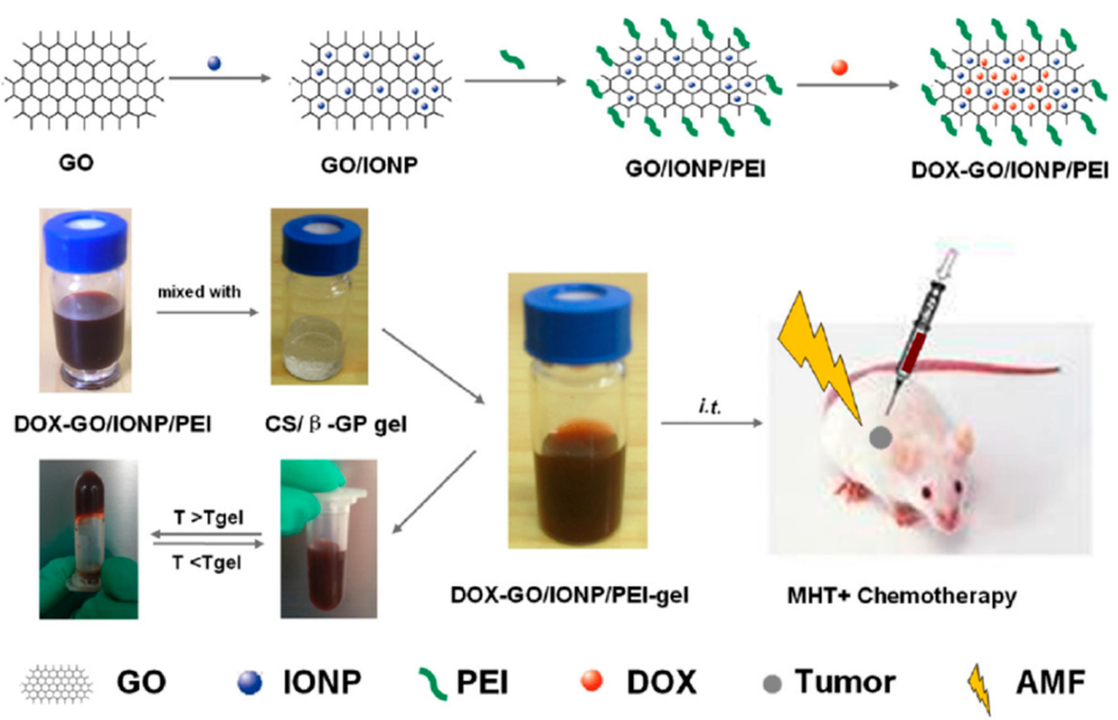 Gels 01 00135 g007 1024
