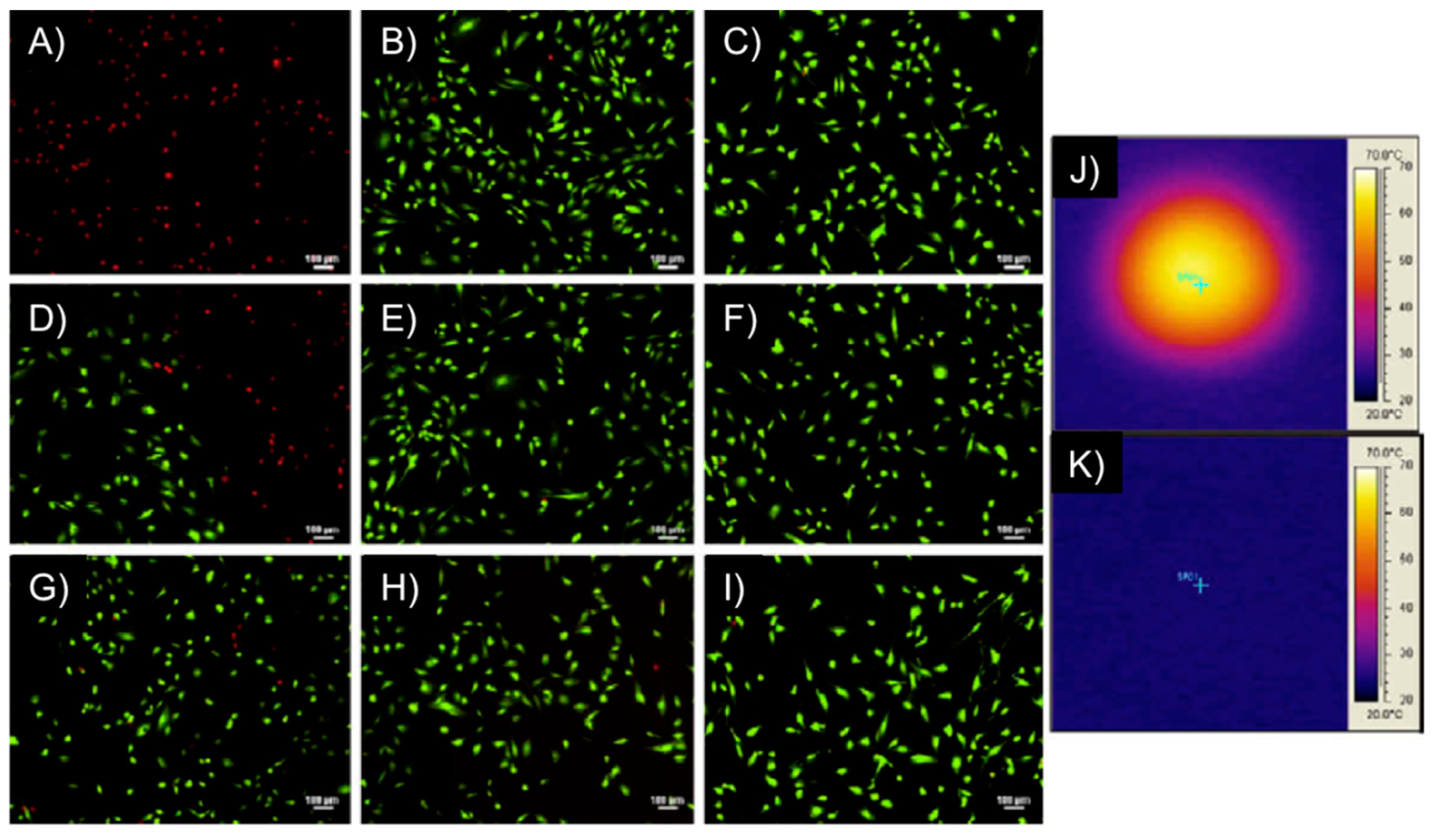 Gels 01 00135 g013
