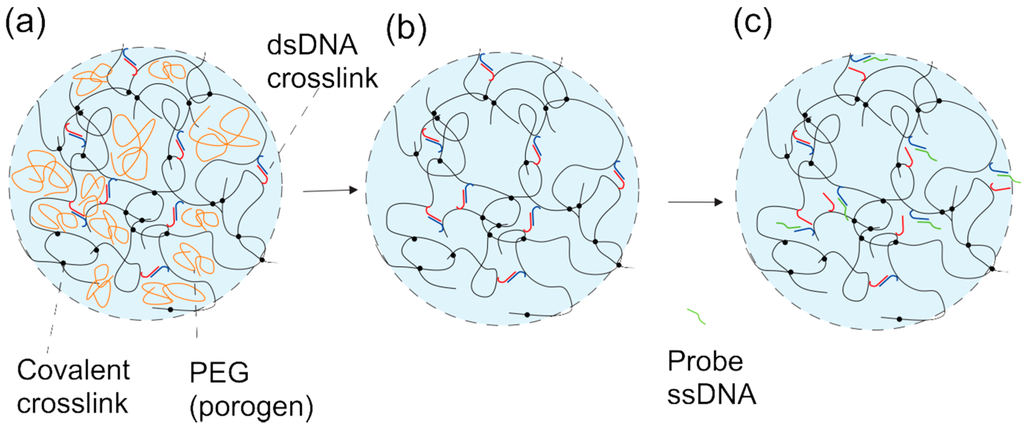 Gels 01 00219 g001 1024