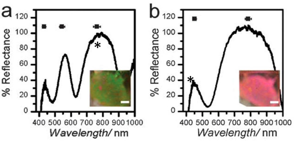 Gels 02 00008 g008 1024