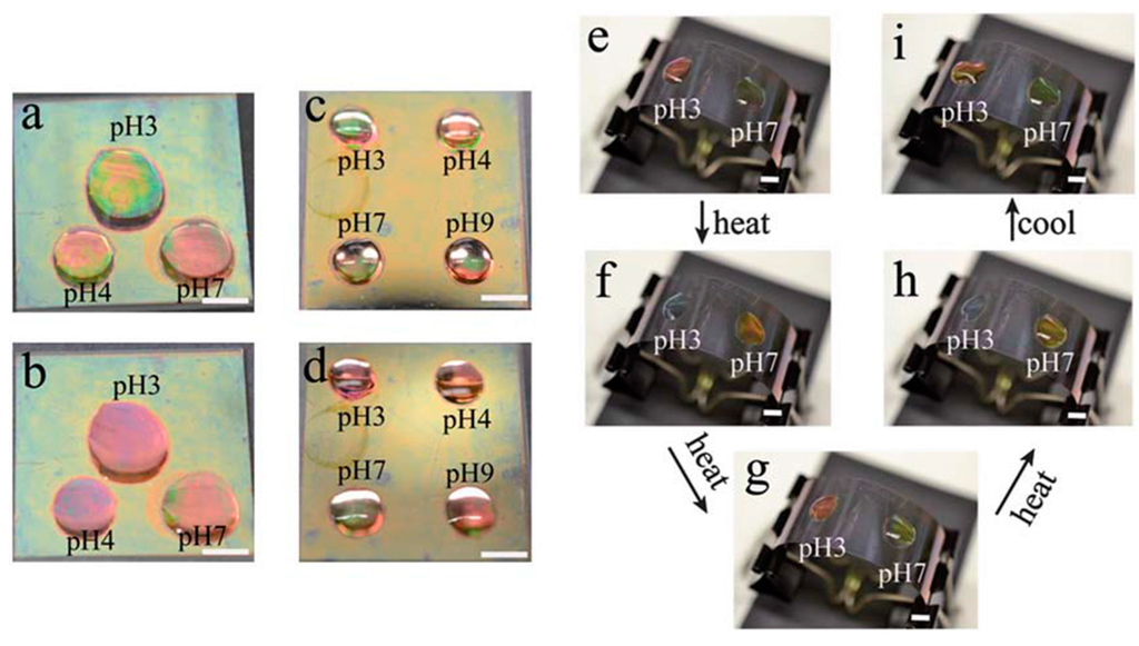 Gels 02 00008 g009 1024