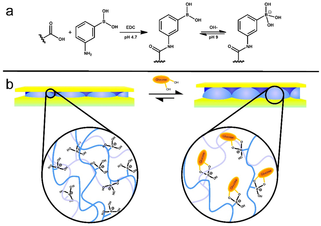 Gels 02 00008 g010 1024