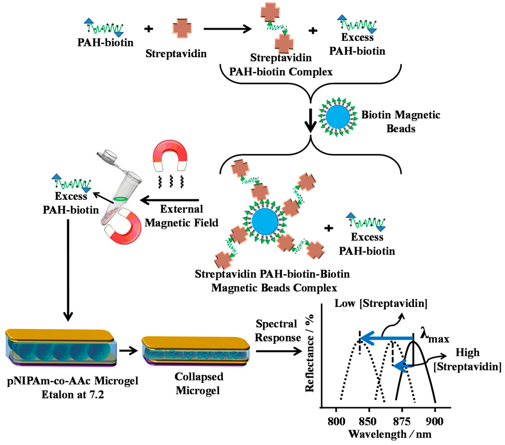 Gels 02 00008 g012 1024